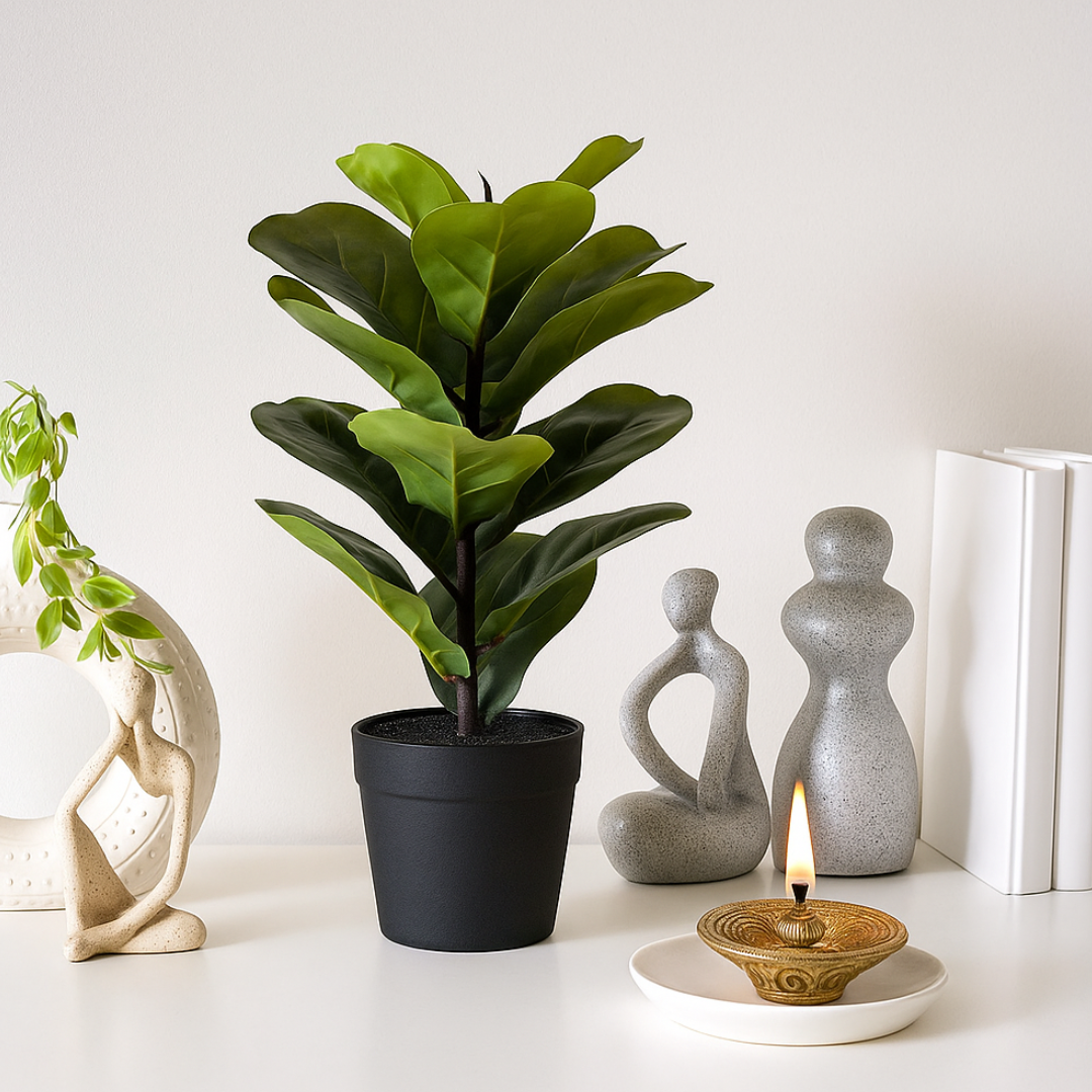 FiddleLeaf