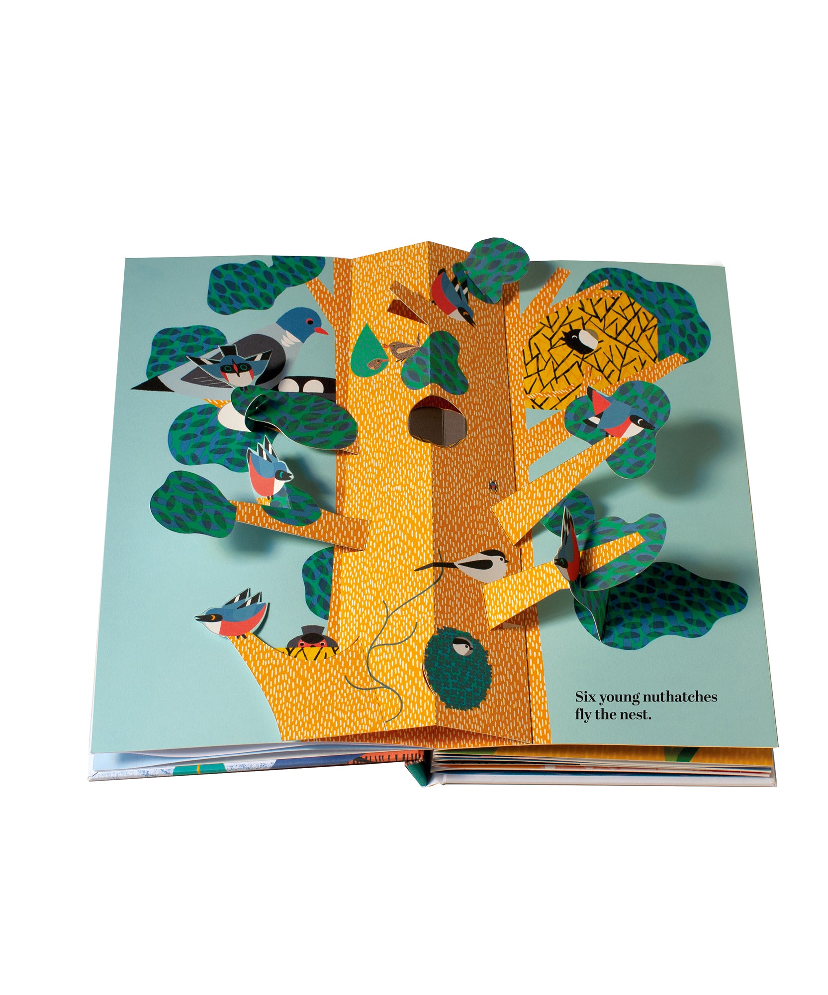 Le Book - Six Little Birds," a pop-up book with birds in a tree, includes nests and six nuthatches, featuring "six young nuthatches fly the nest.