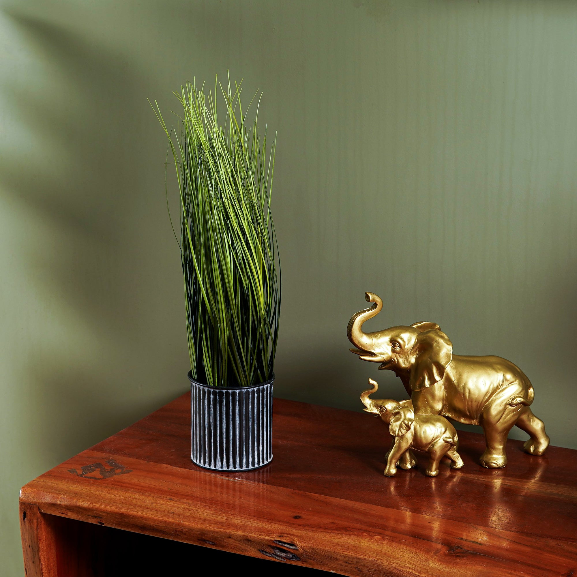 Onion GrassVine