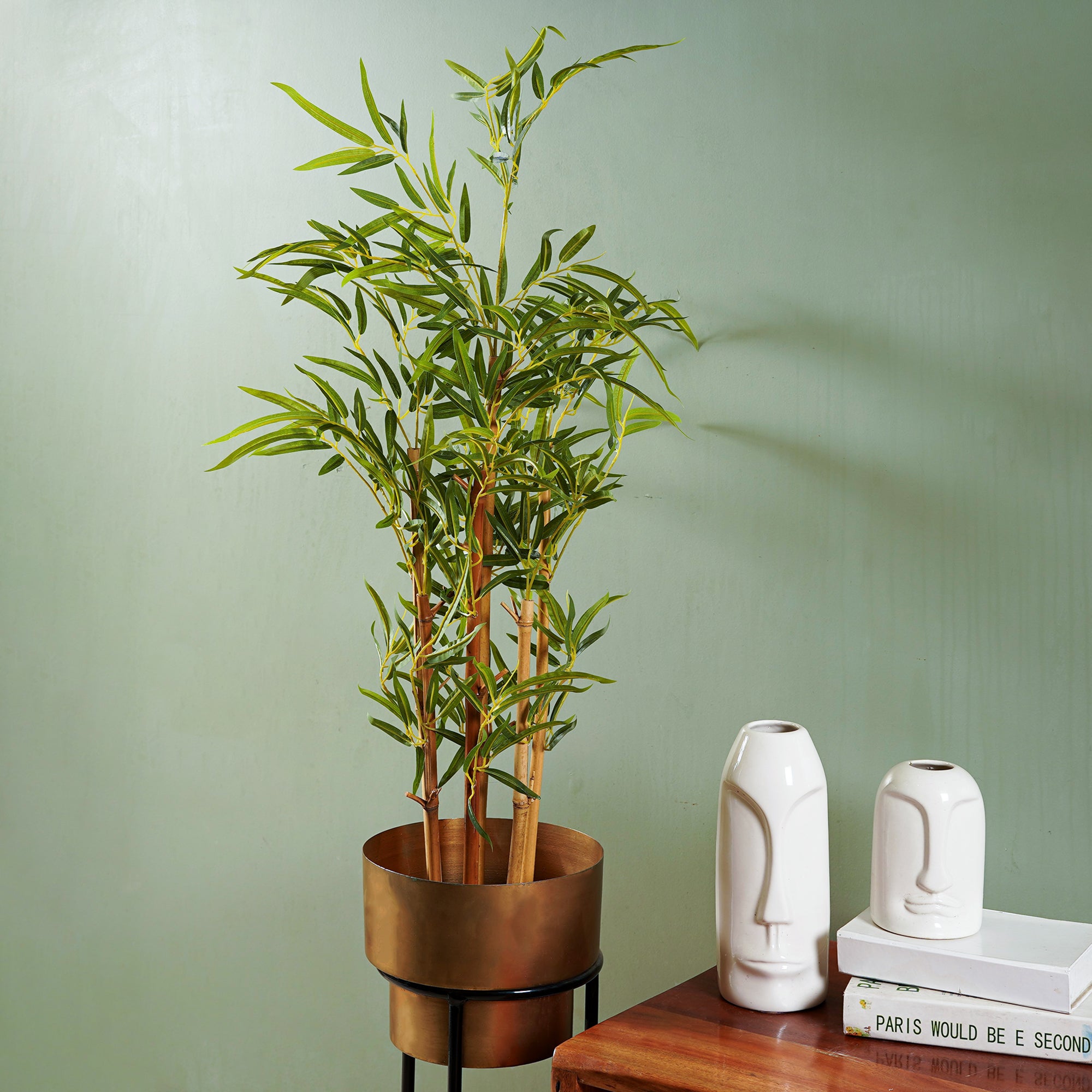 Golden Bamboo Plant