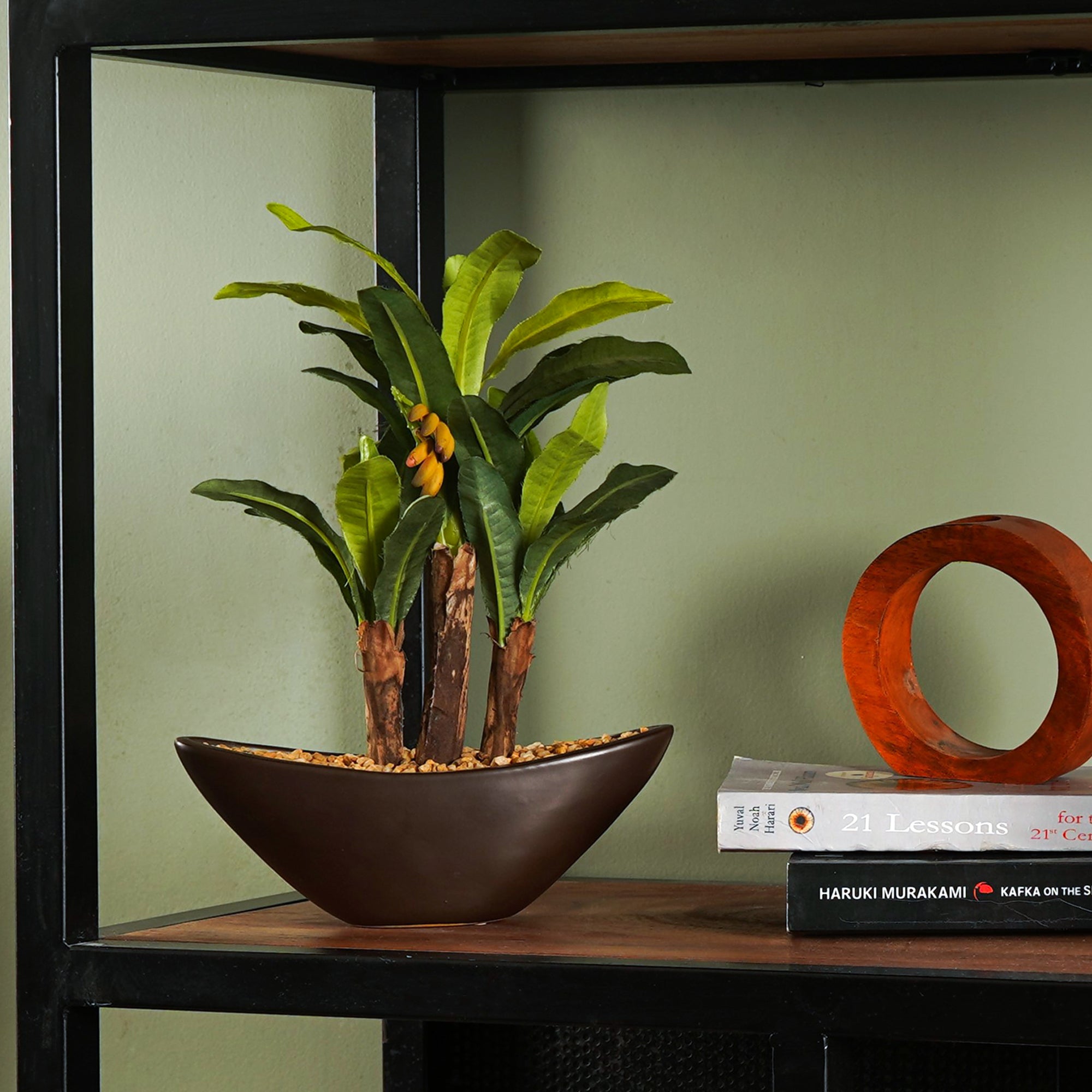 Banana Bonsai