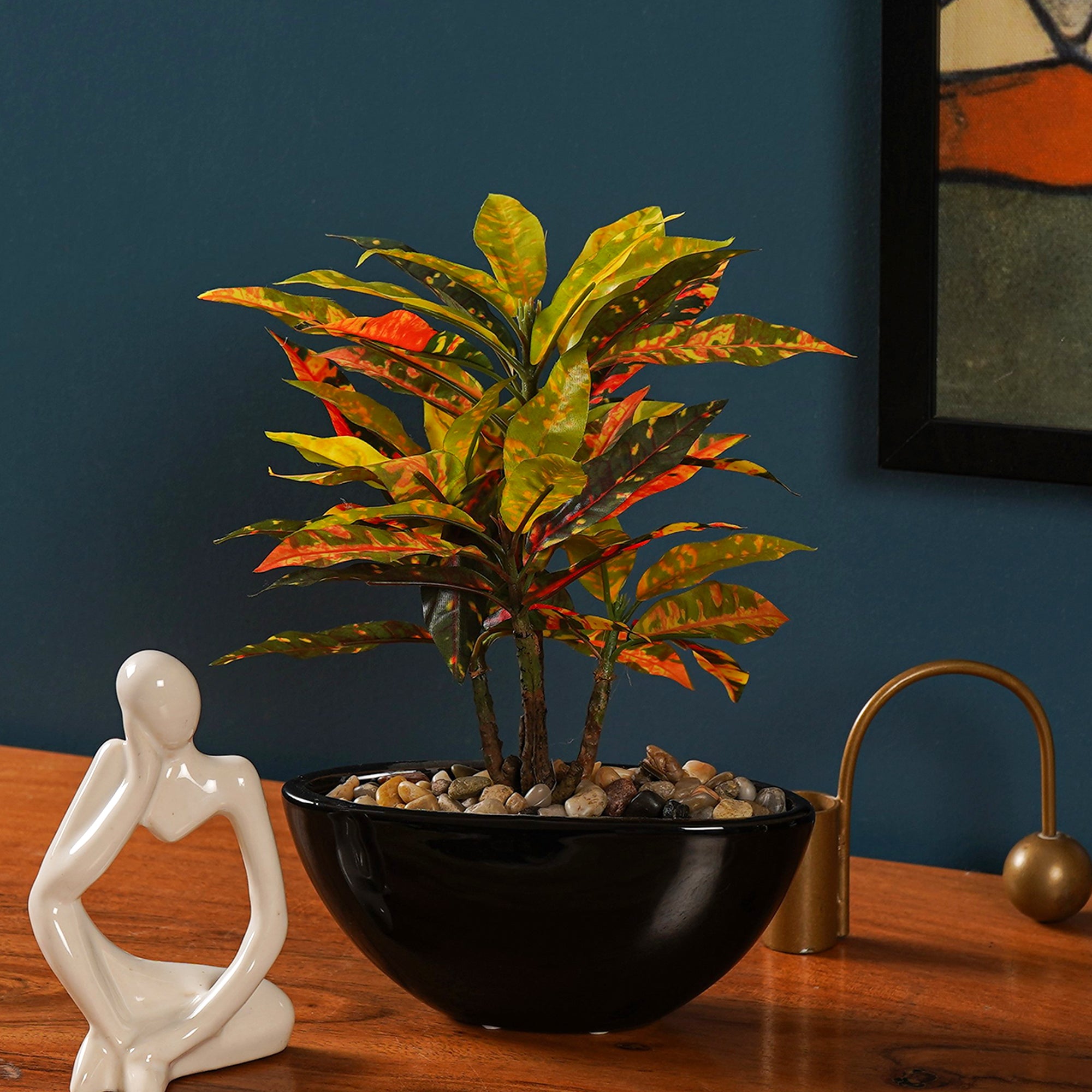 Tropi Garden Croton