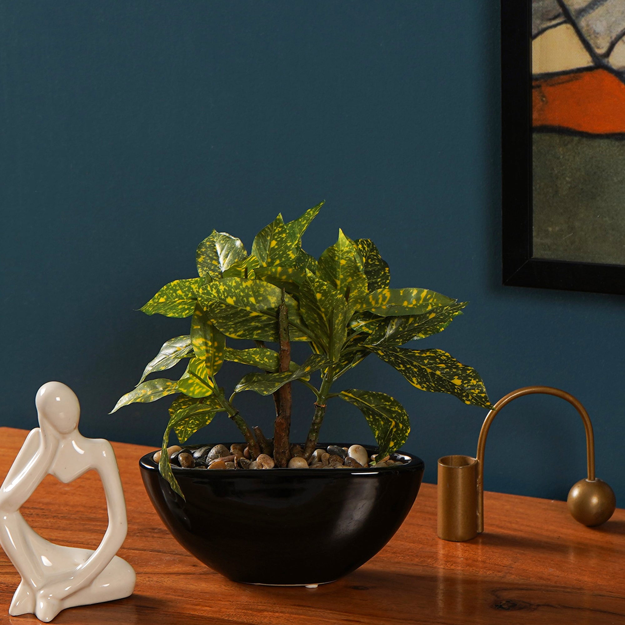 Tropi Garden Croton