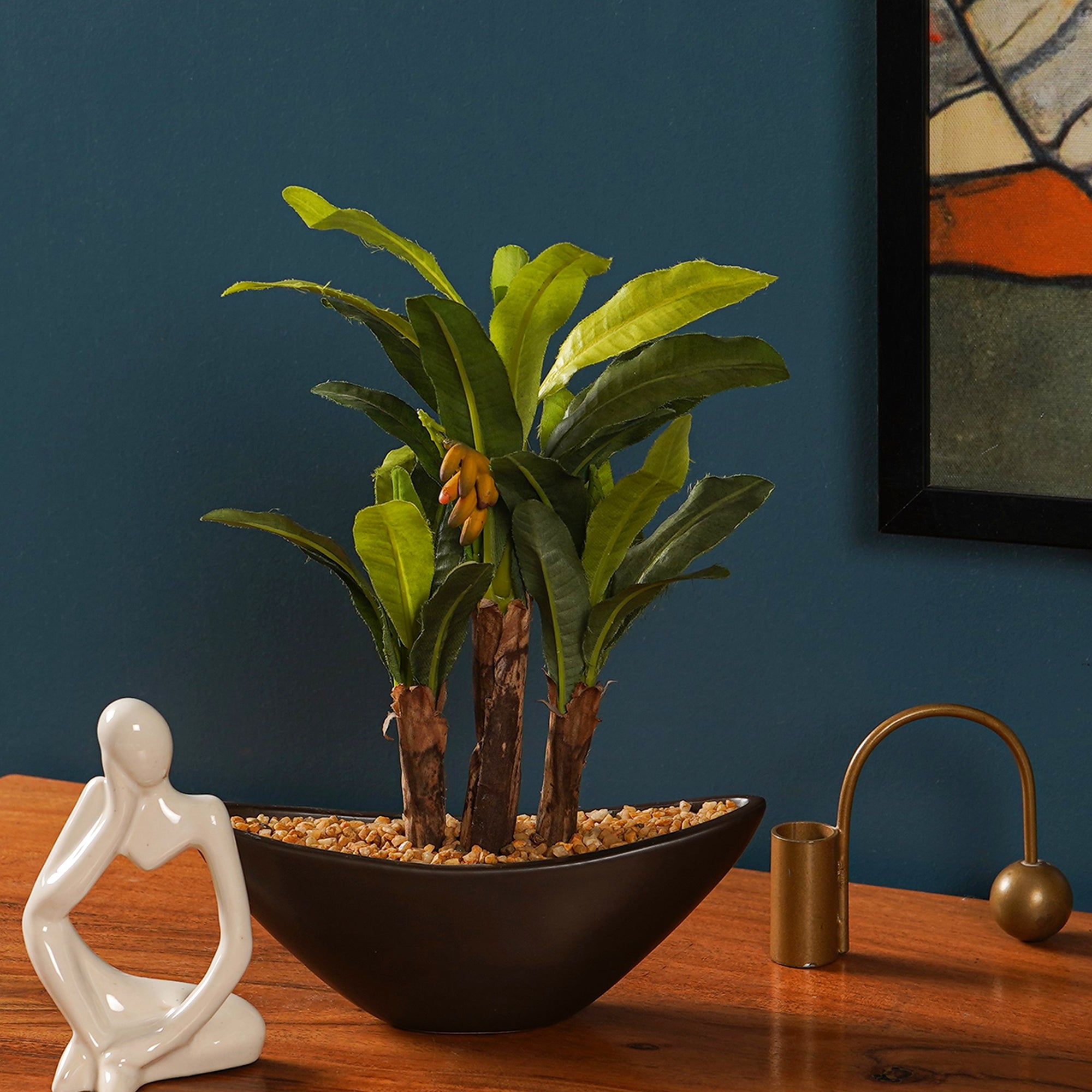 Banana Bonsai