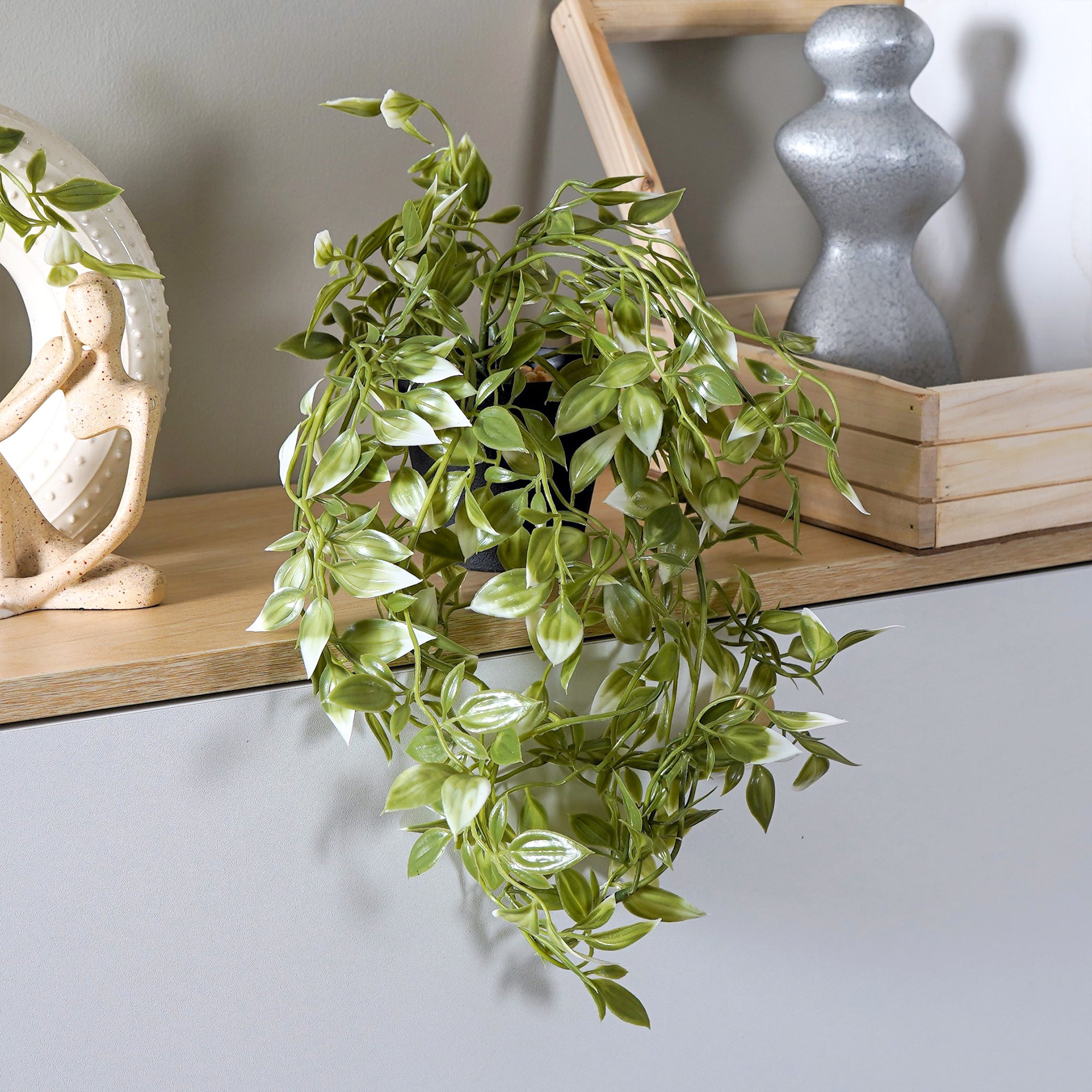 EverVine