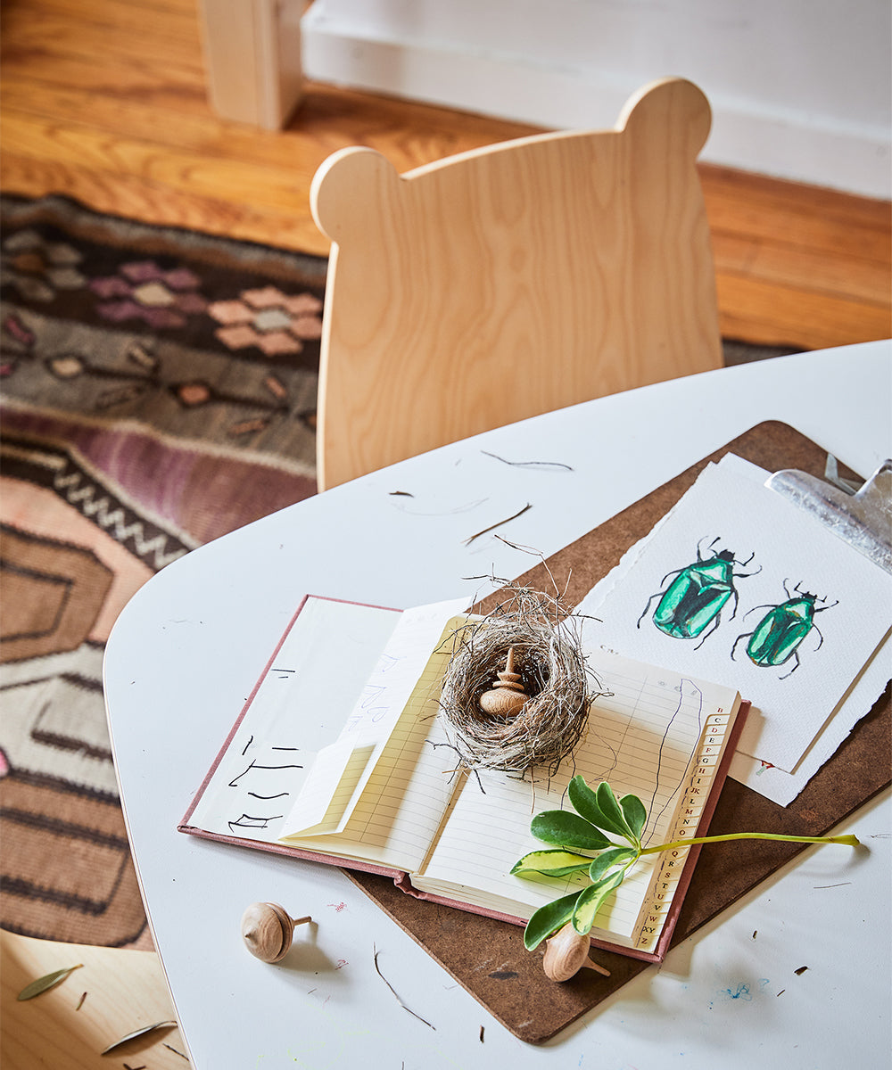 Set of 2 Bear Play Chairs featuring a birds nest, beetle drawings, toy tops, journal, and leaf on a clipboard.