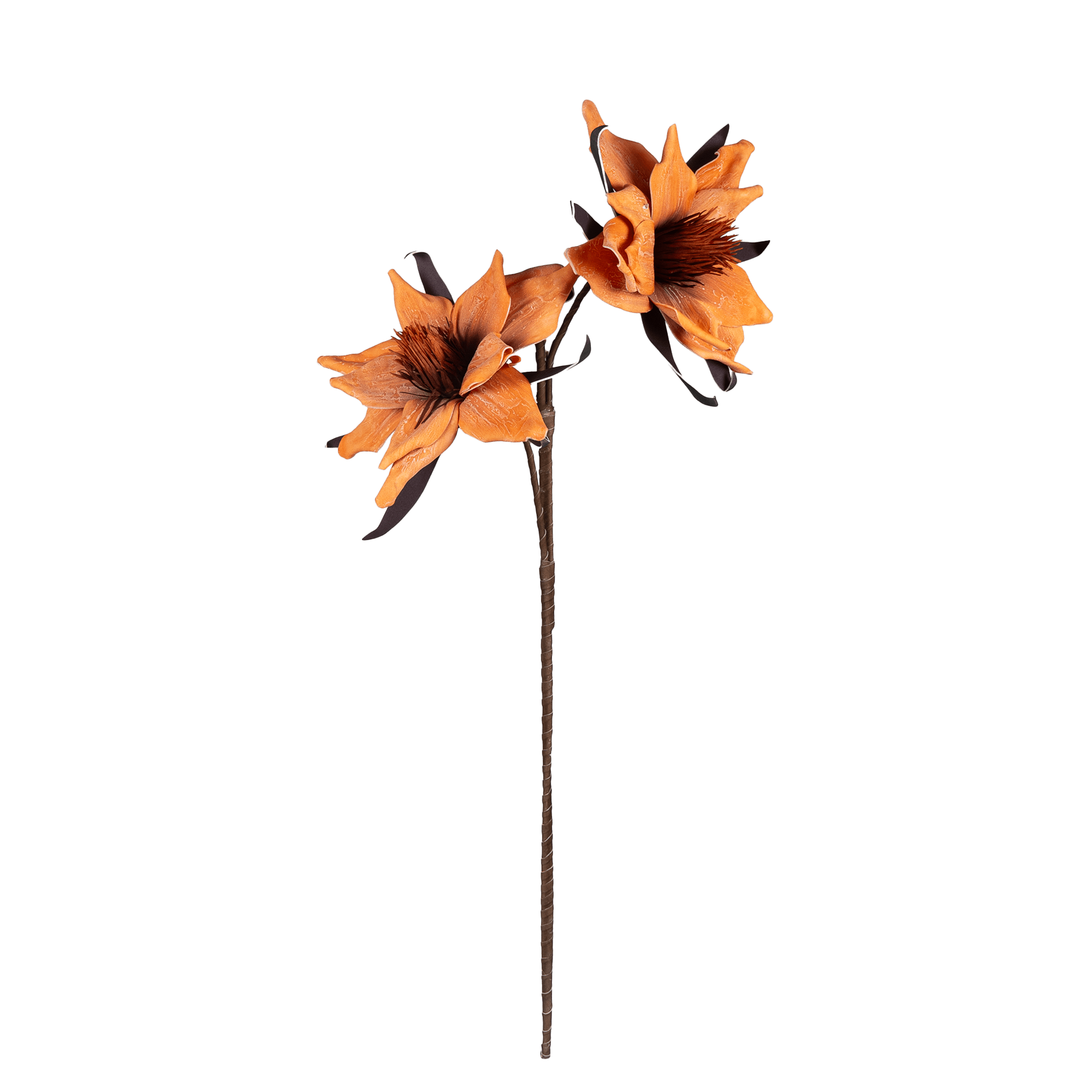 Amaryllis Whisper - The Artment