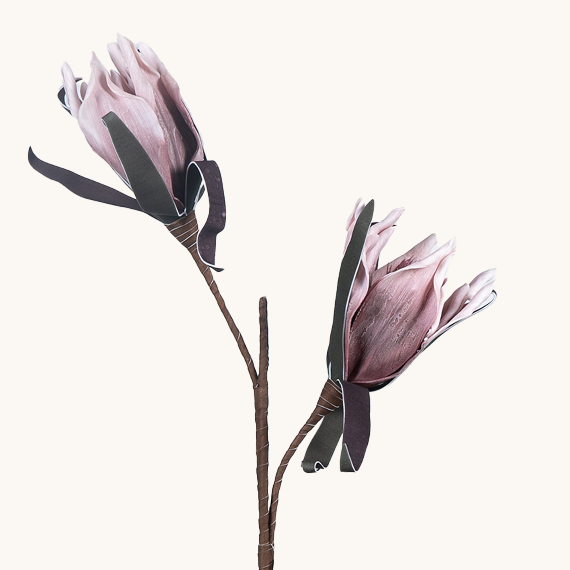 Amaryllis Whisper - The Artment
