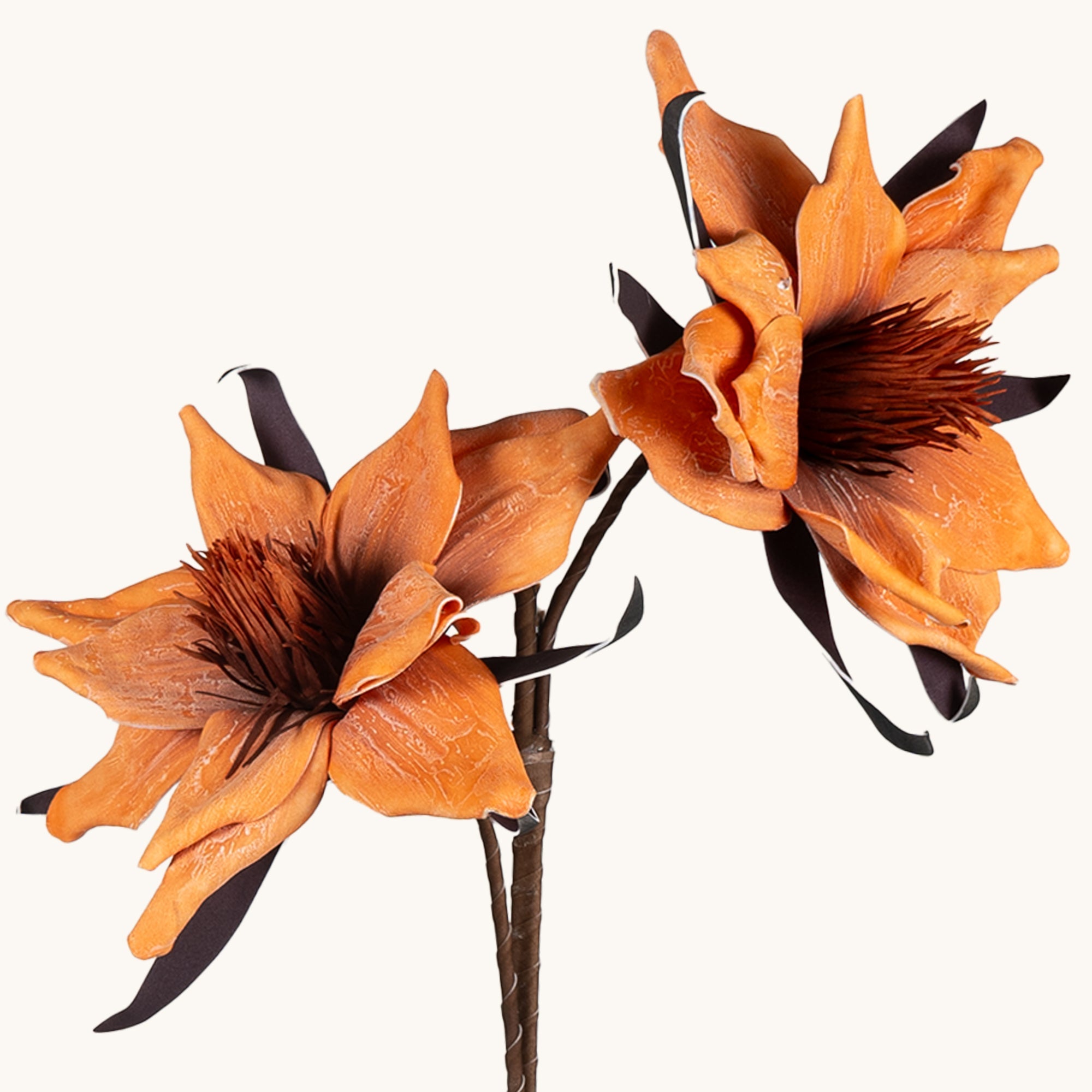 Amaryllis Whisper - The Artment