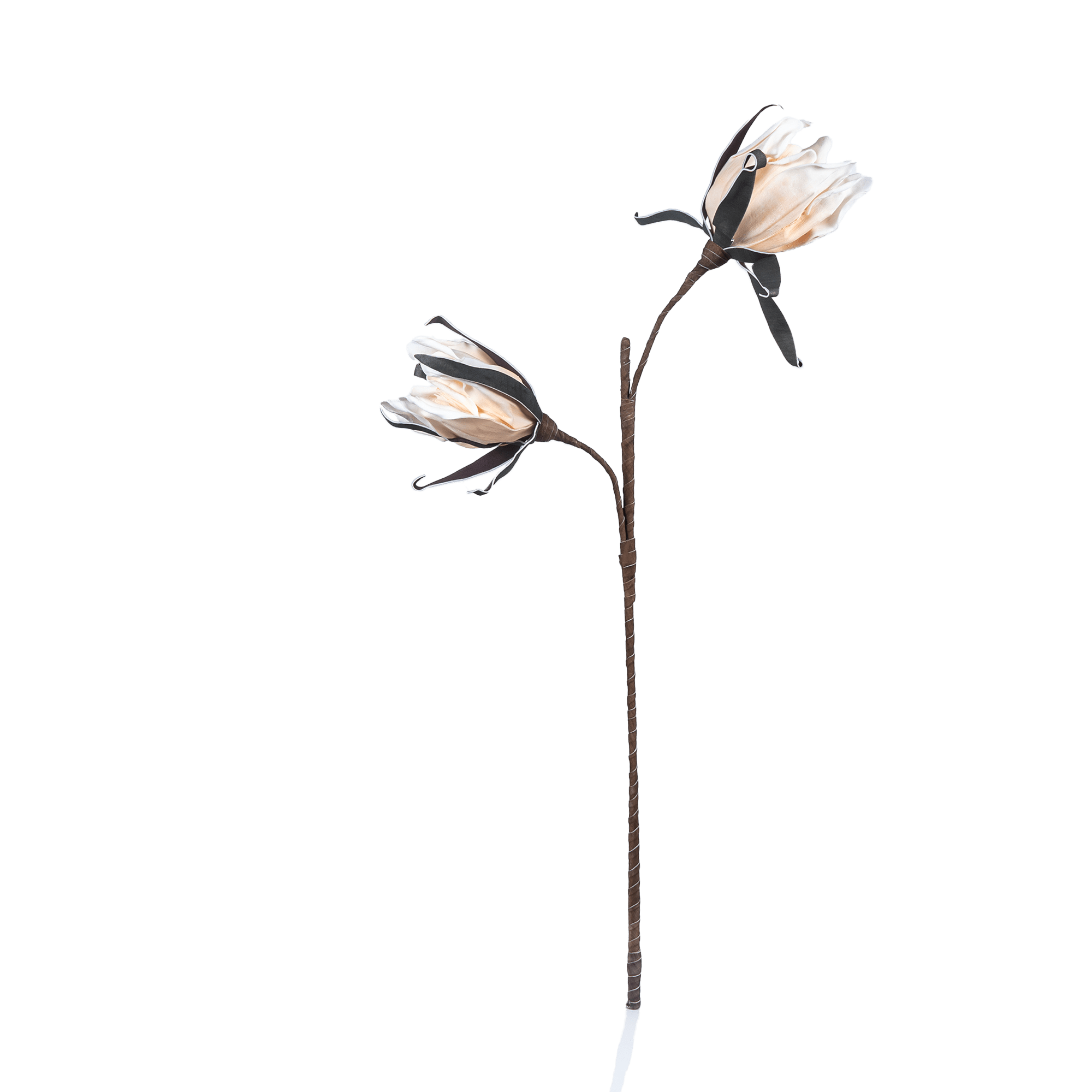Amaryllis Whisper - The Artment