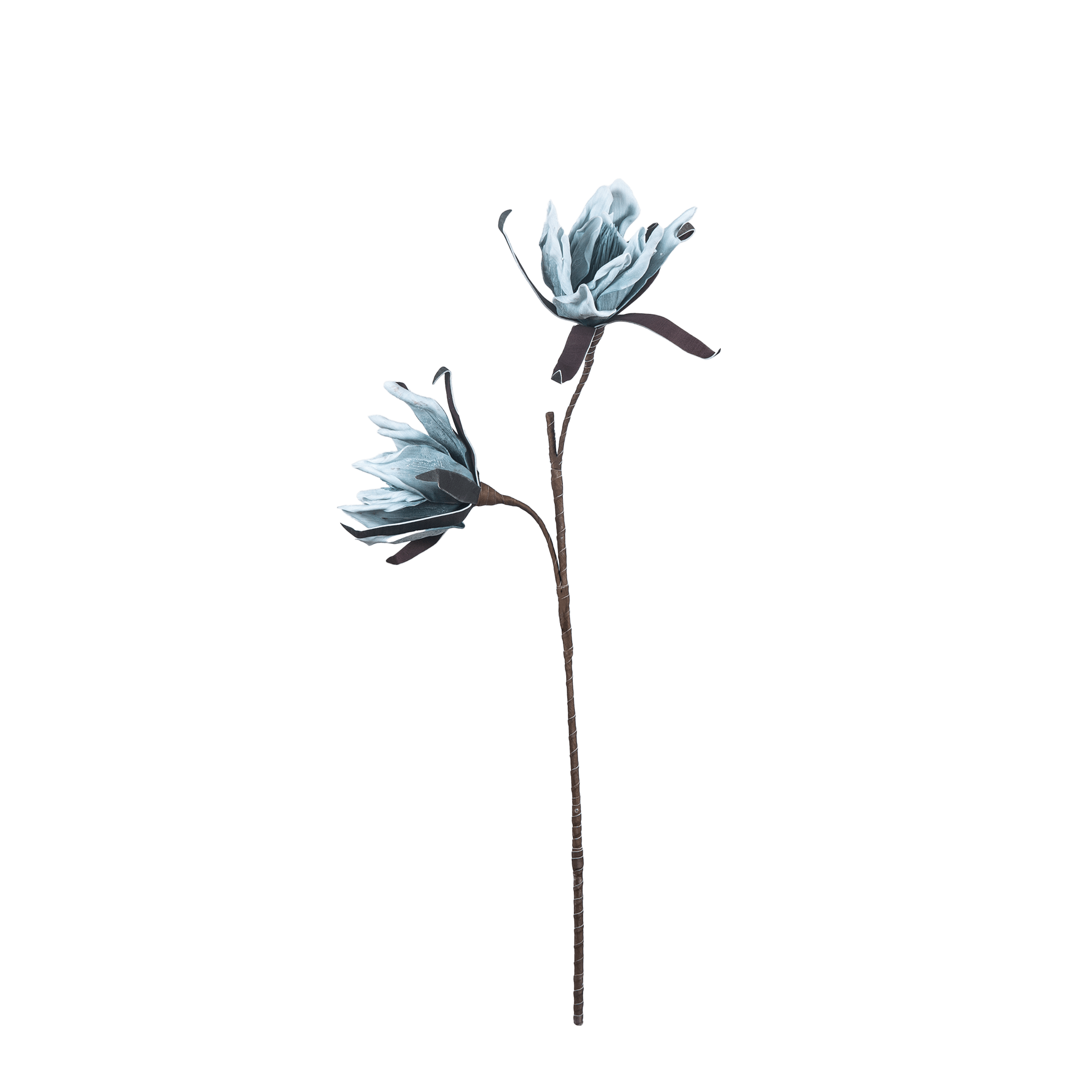 Amaryllis Whisper - The Artment