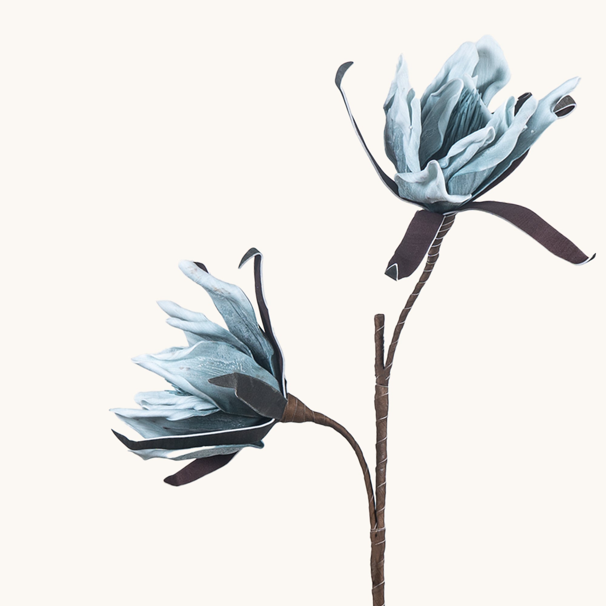 Amaryllis Whisper - The Artment