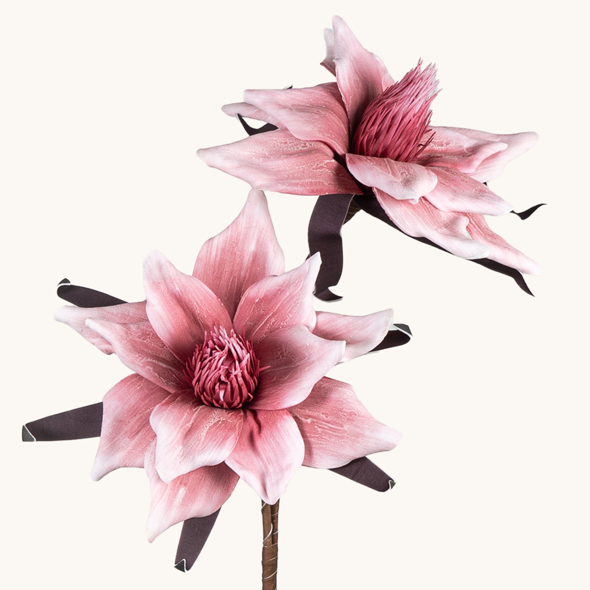 Amaryllis Whisper - The Artment