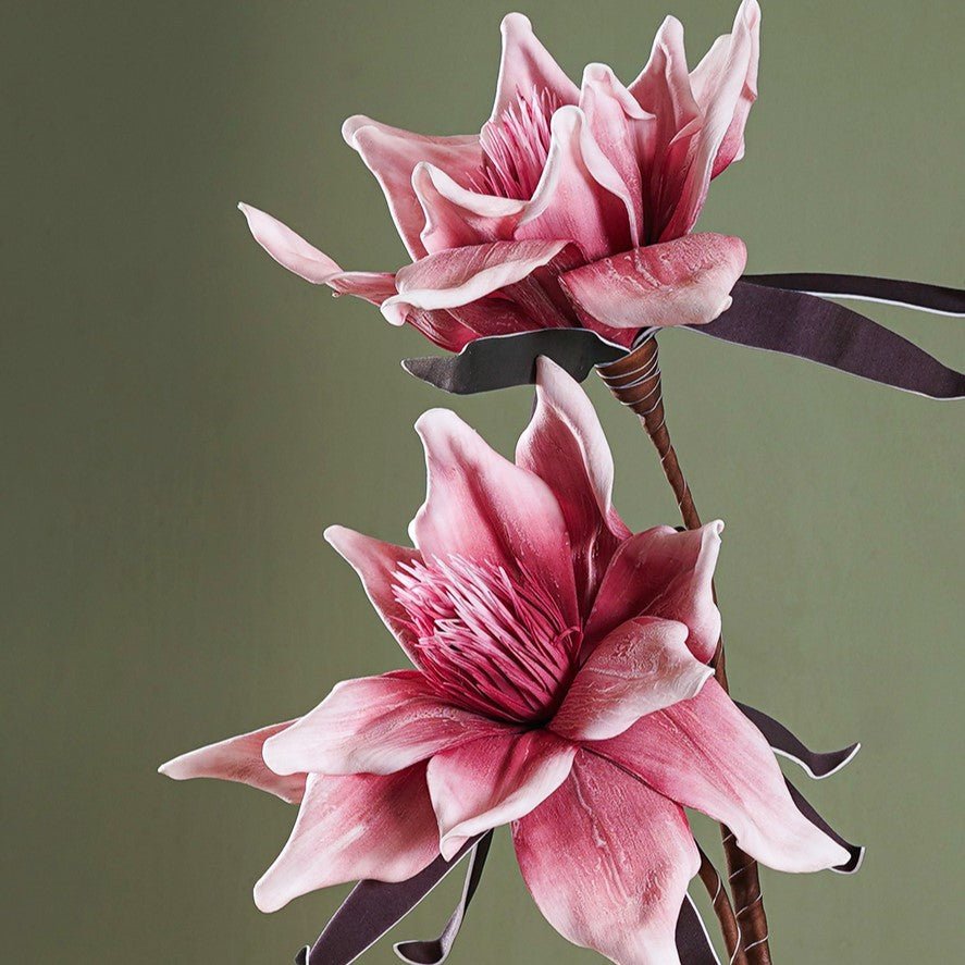 Amaryllis Whisper - The Artment