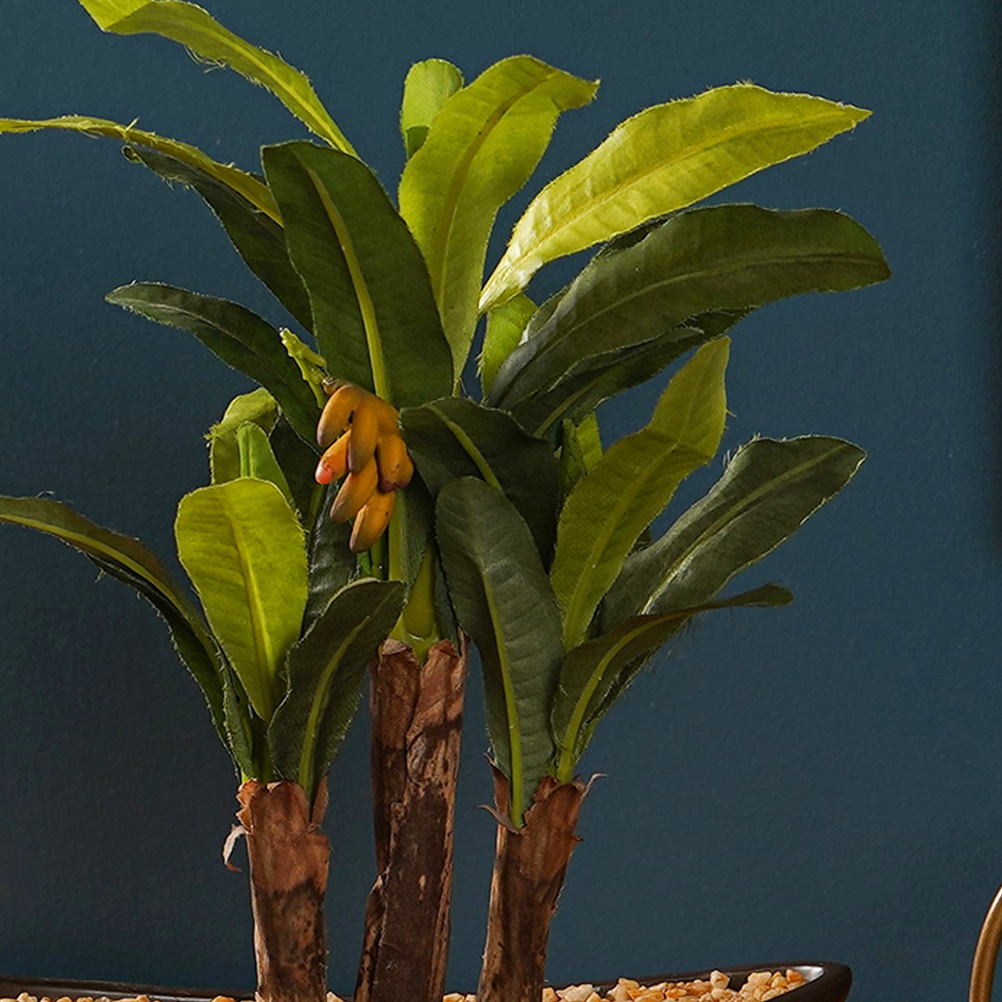 Banana Bonsai - The Artment