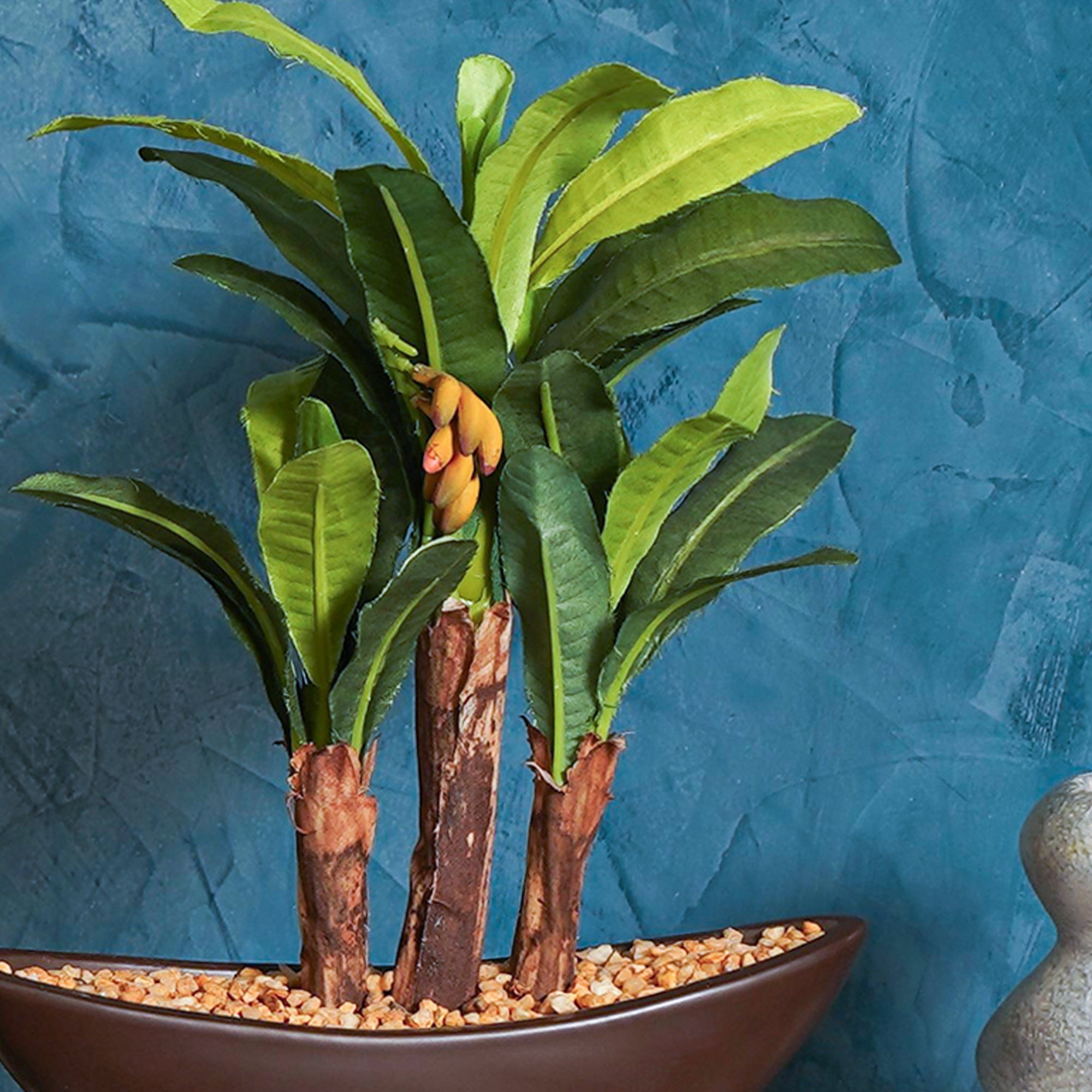 Banana Bonsai - The Artment