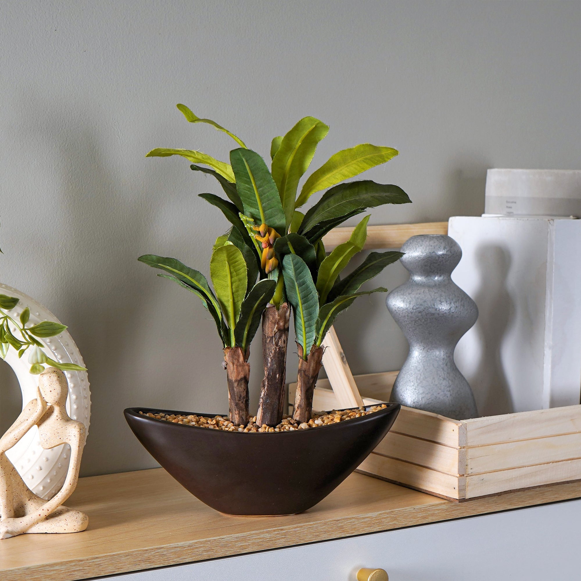 Banana Bonsai - The Artment