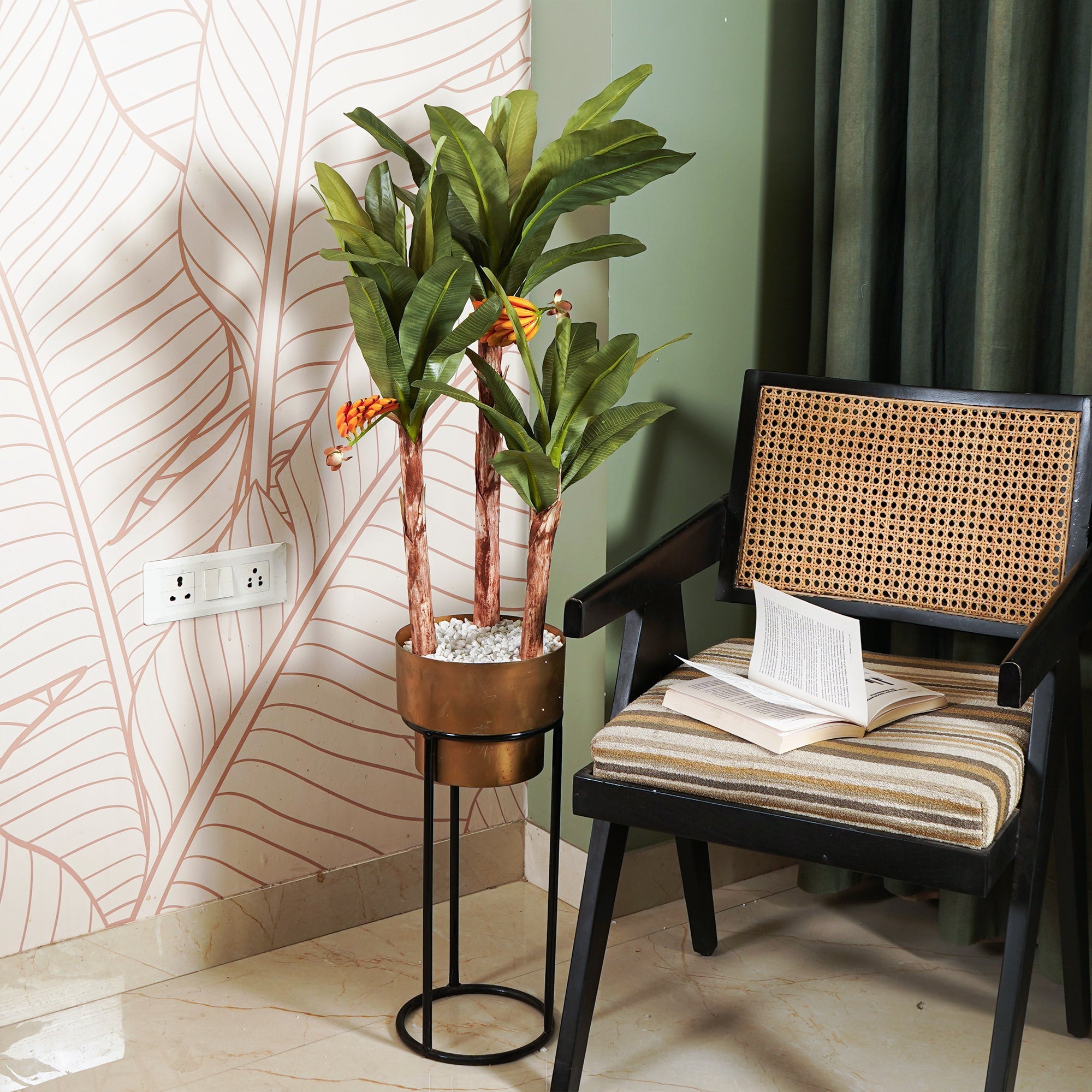 Banana Palm Tree - The Artment