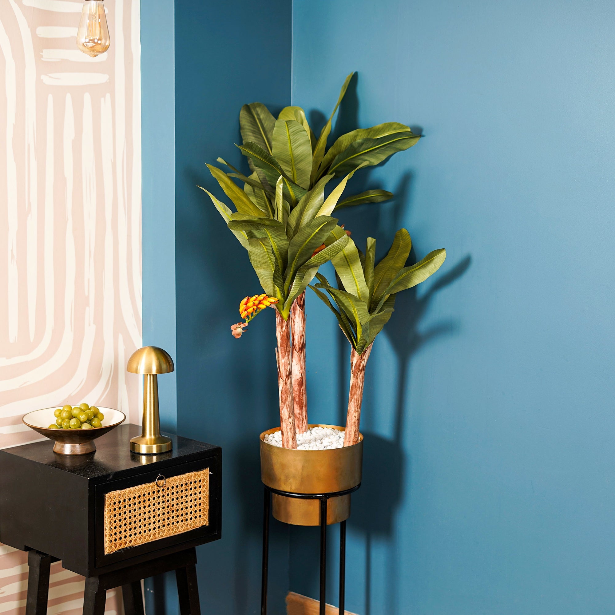 Banana Palm Tree - The Artment
