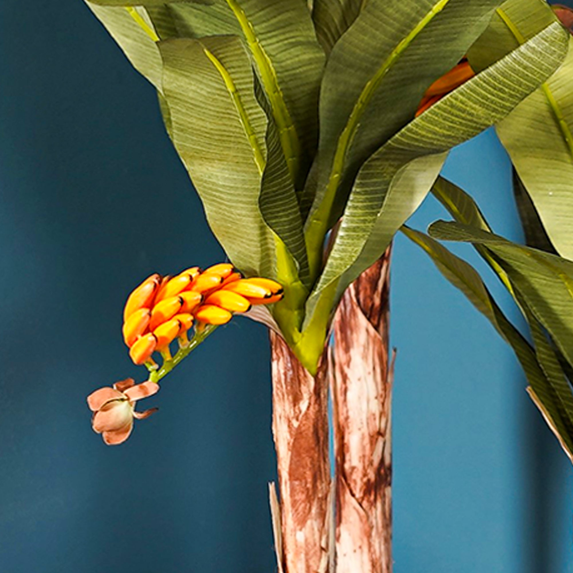 Banana Palm Tree - The Artment