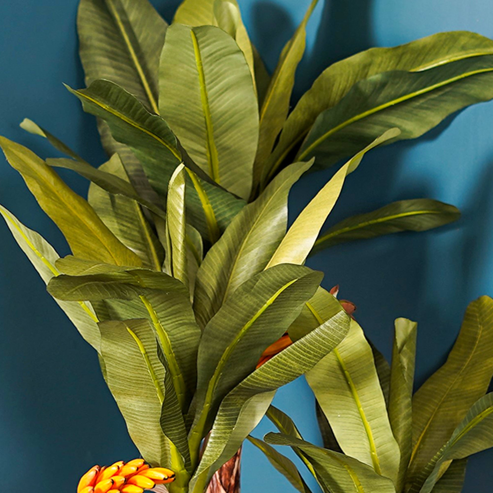Banana Palm Tree - The Artment