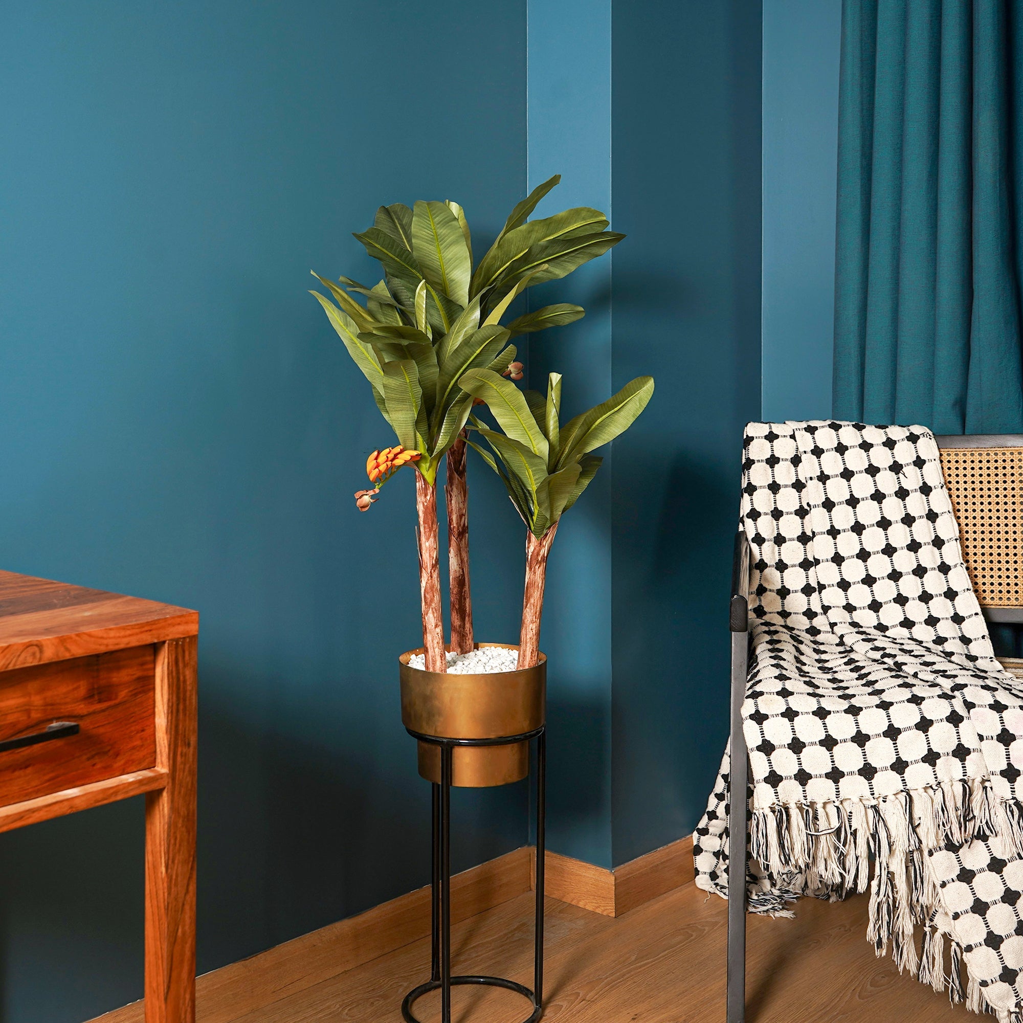 Banana Palm Tree - The Artment