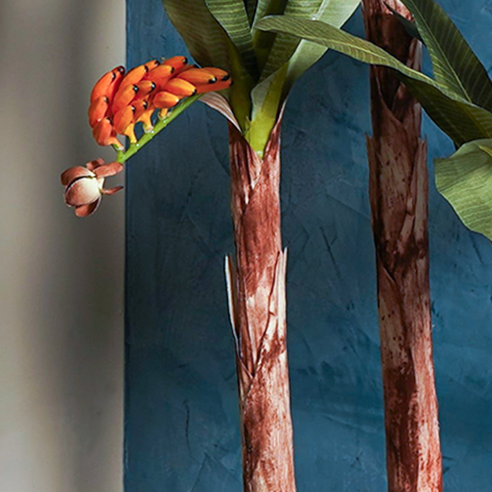 Banana Palm Tree - The Artment