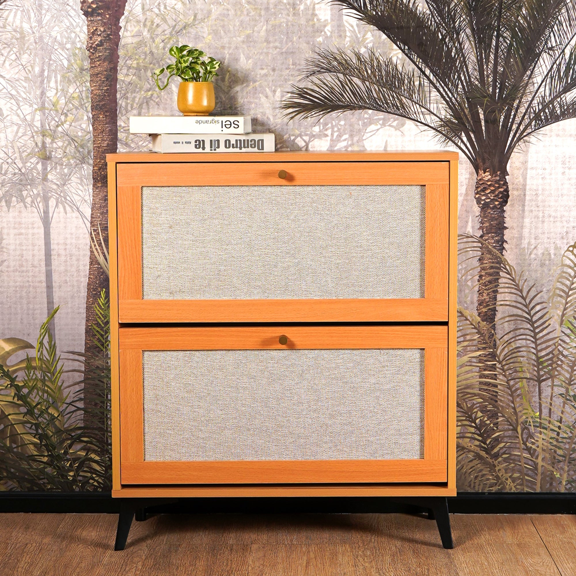 Boho Bliss Shoe Organizer Cabinet - The Artment