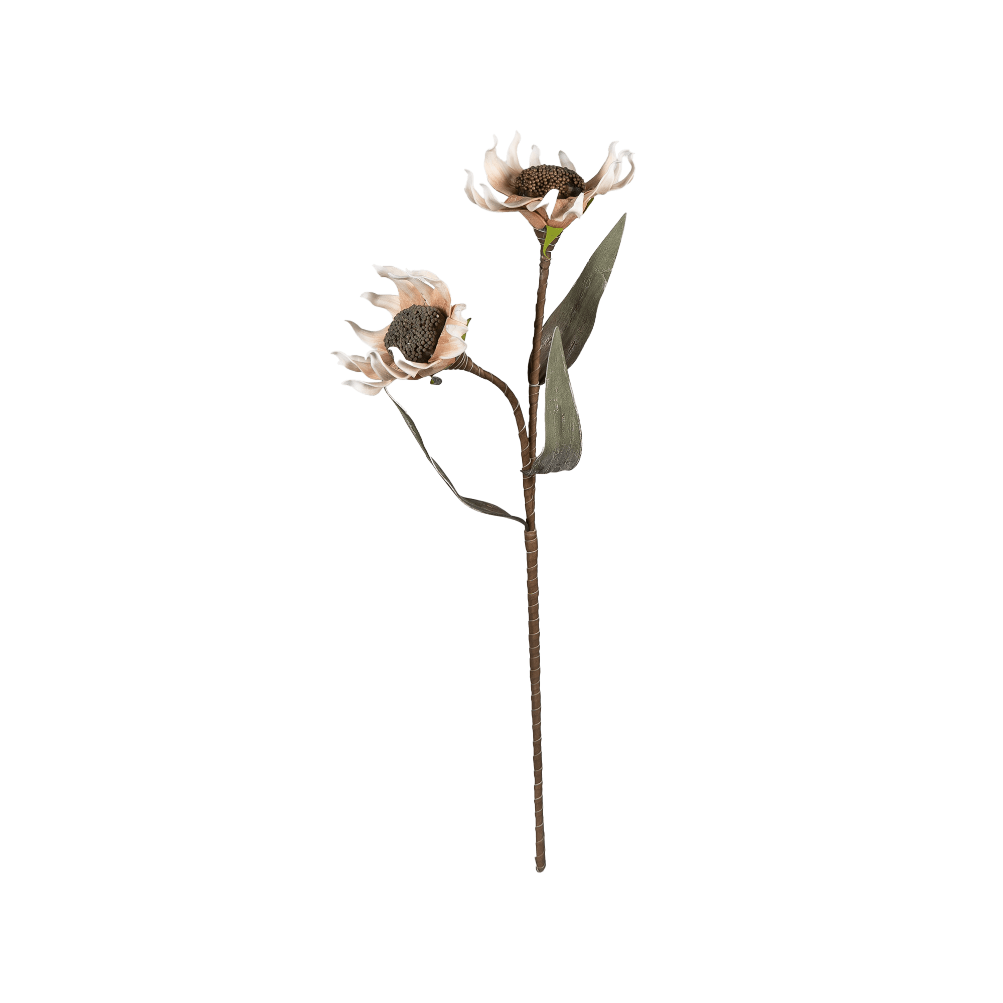 Dahlia Blossom - The Artment