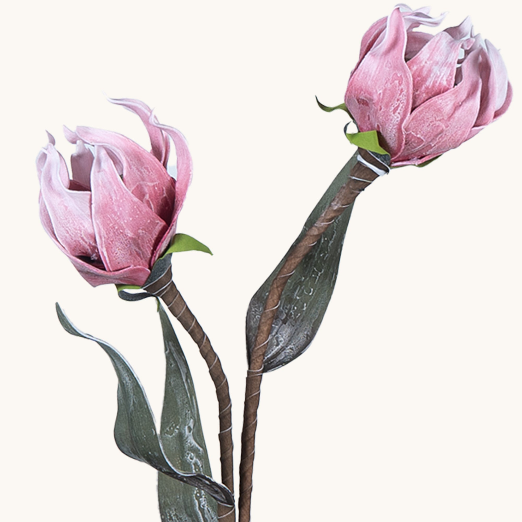 Dahlia Blossom - The Artment
