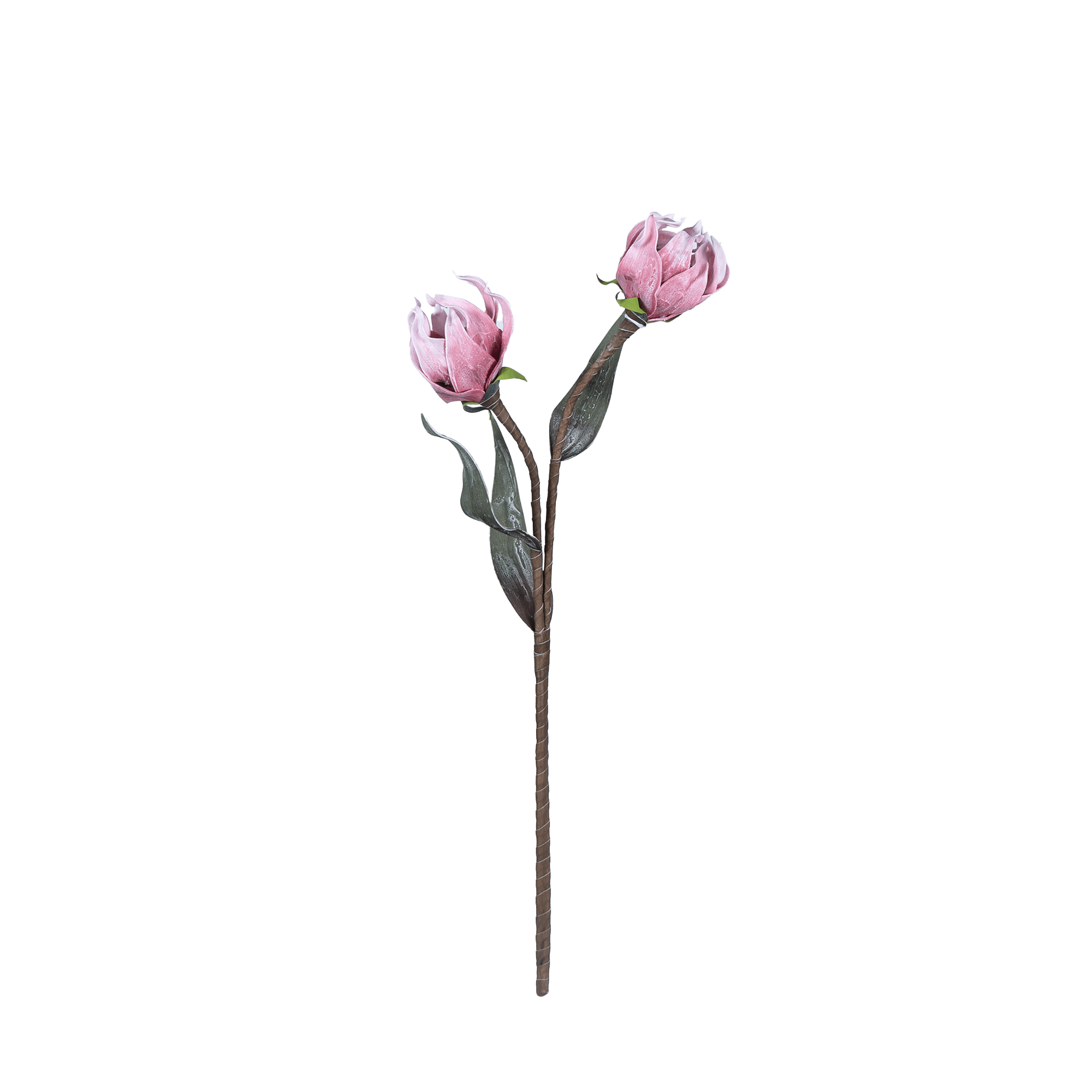 Dahlia Blossom - The Artment