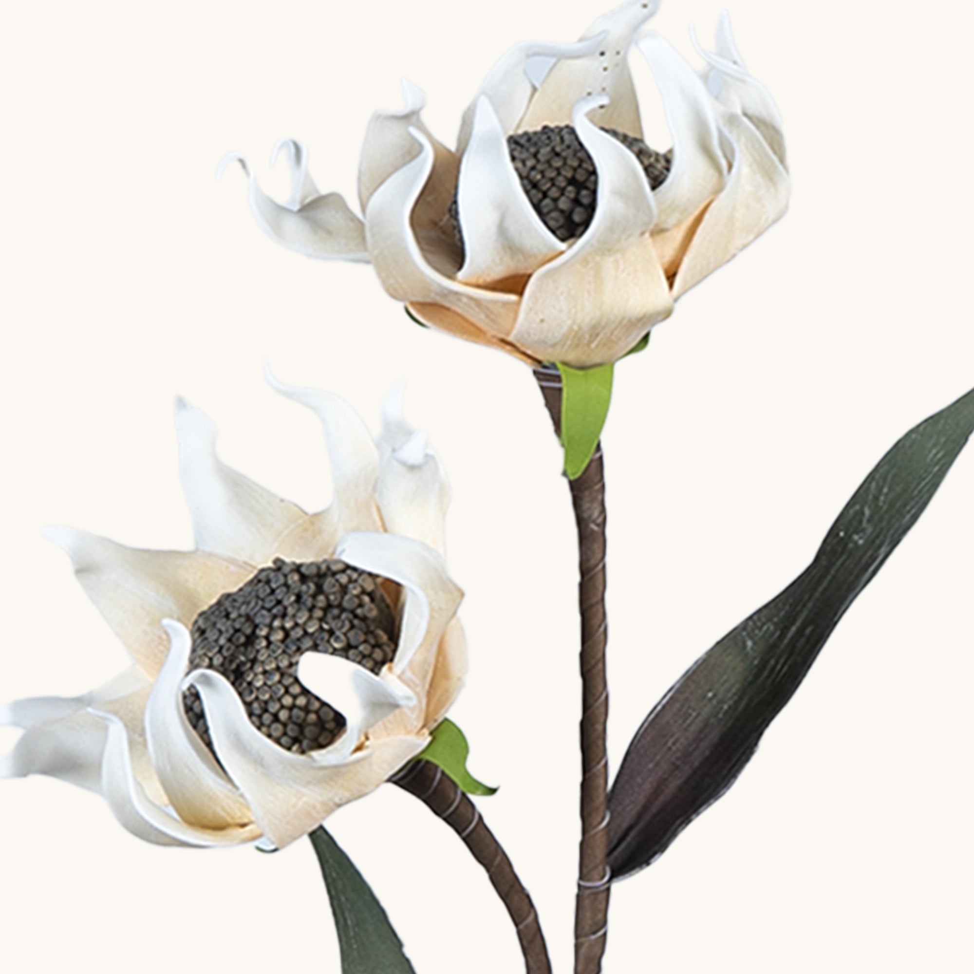 Dahlia Blossom - The Artment