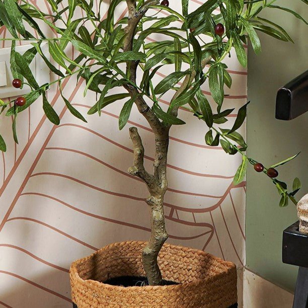 Ever Olive Tree - The Artment