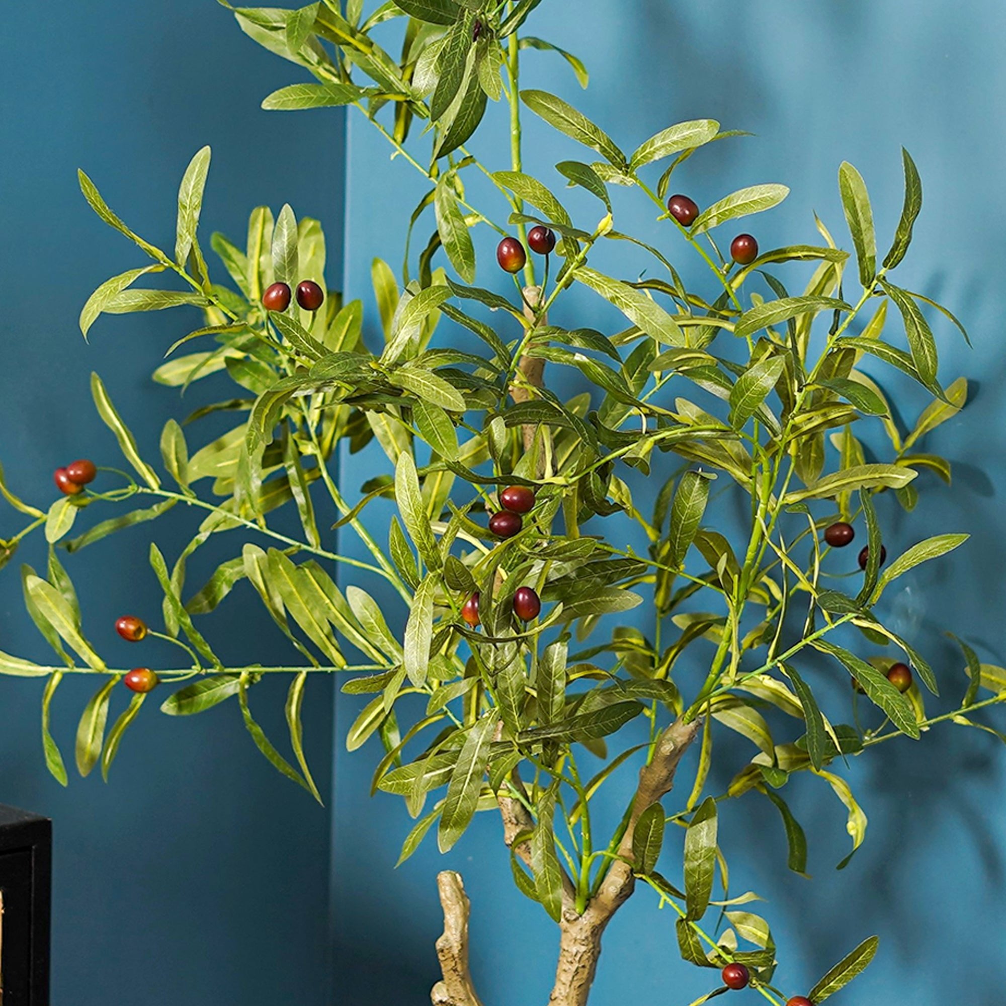 Ever Olive Tree - The Artment