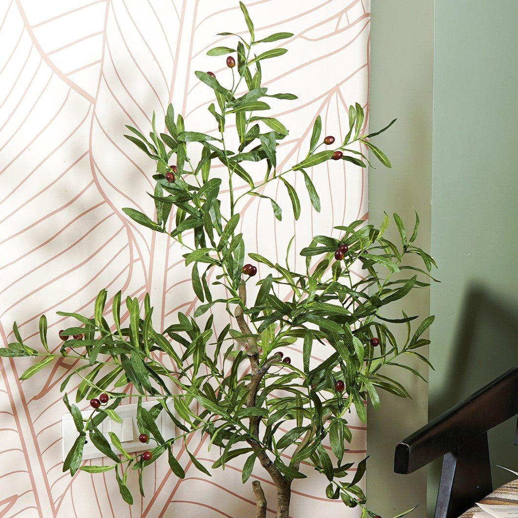 Ever Olive Tree - The Artment