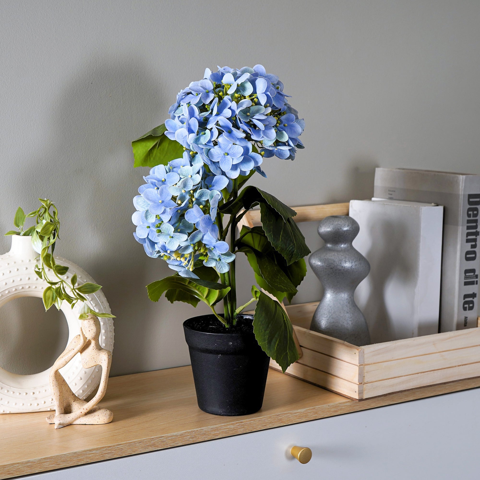 EverBloom Hydrangea Plant - The Artment