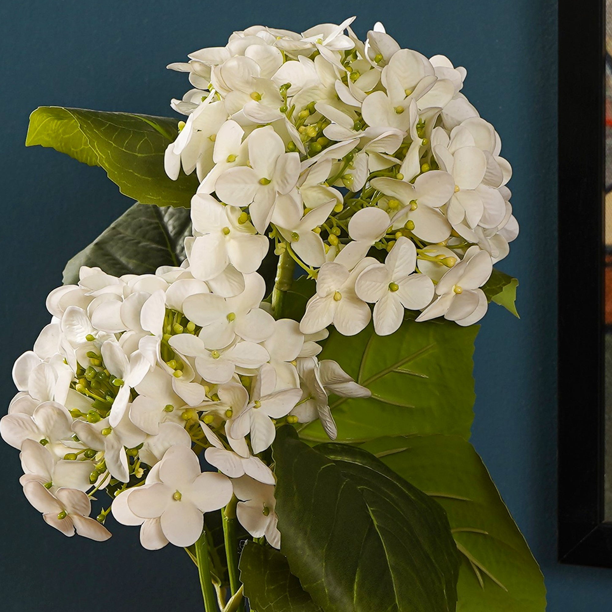 EverBloom Hydrangea Plant - The Artment