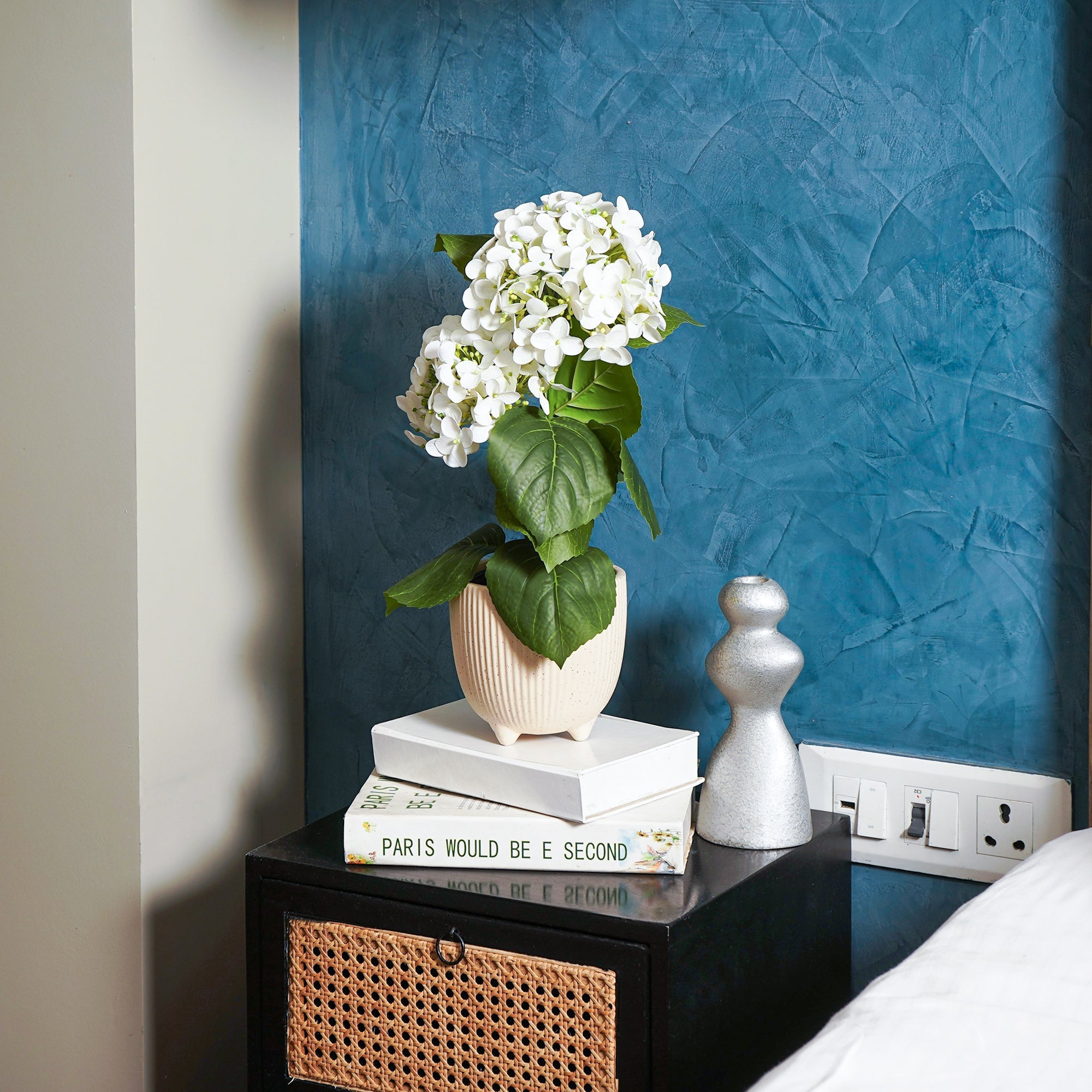 EverBloom Hydrangea Plant - The Artment