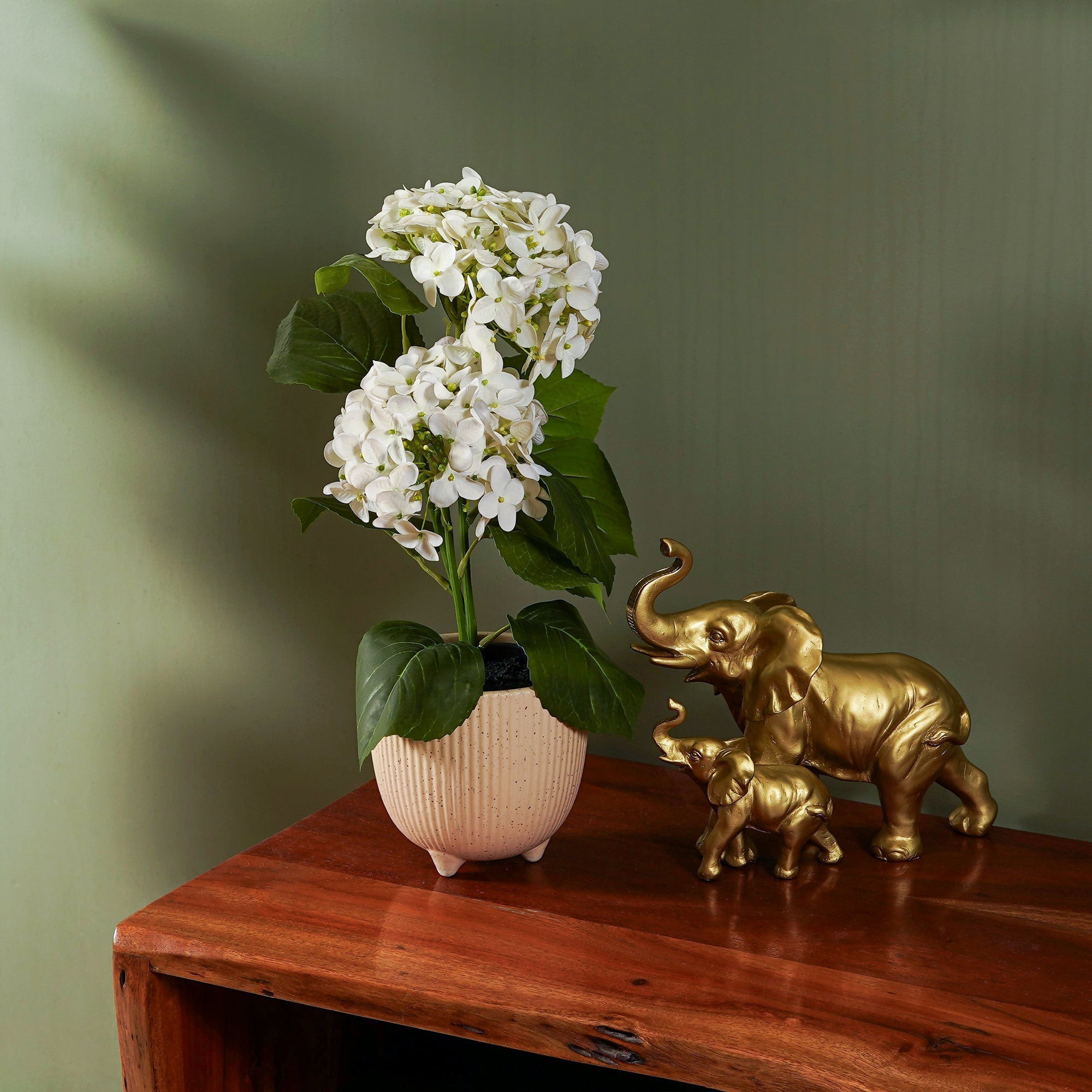 EverBloom Hydrangea Plant - The Artment