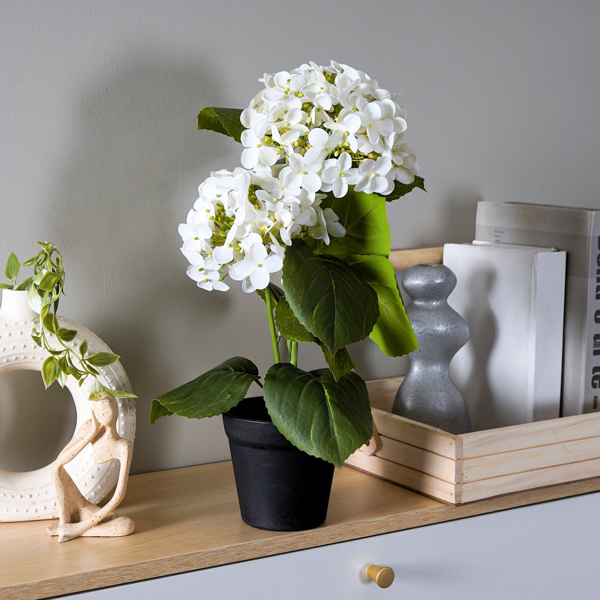 EverBloom Hydrangea Plant - The Artment