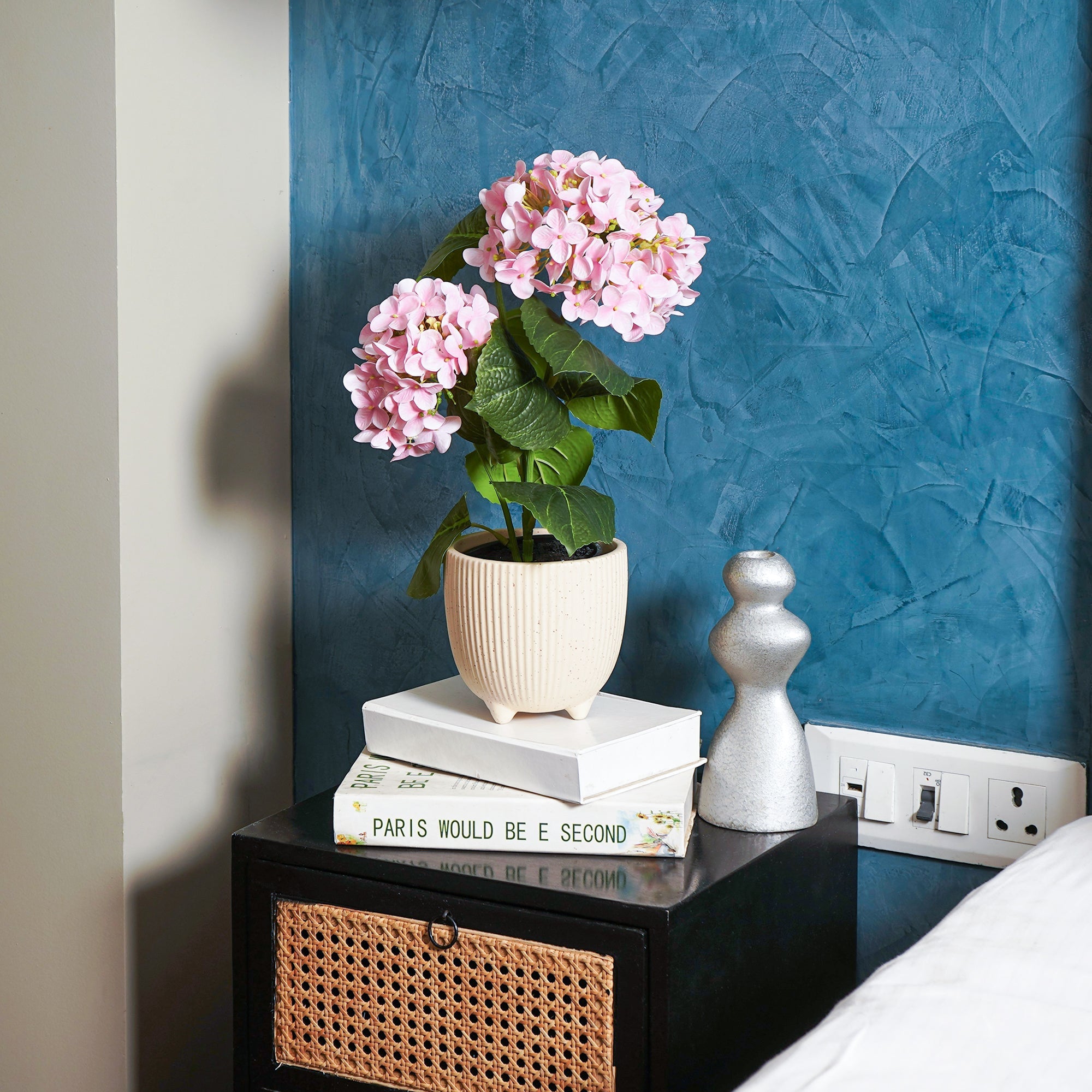 EverBloom Hydrangea Plant - The Artment