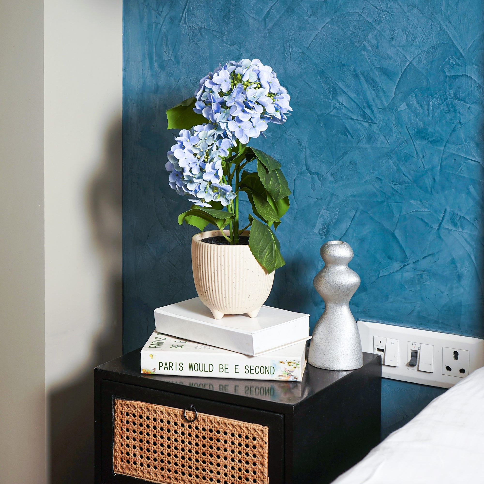 EverBloom Hydrangea Plant - The Artment