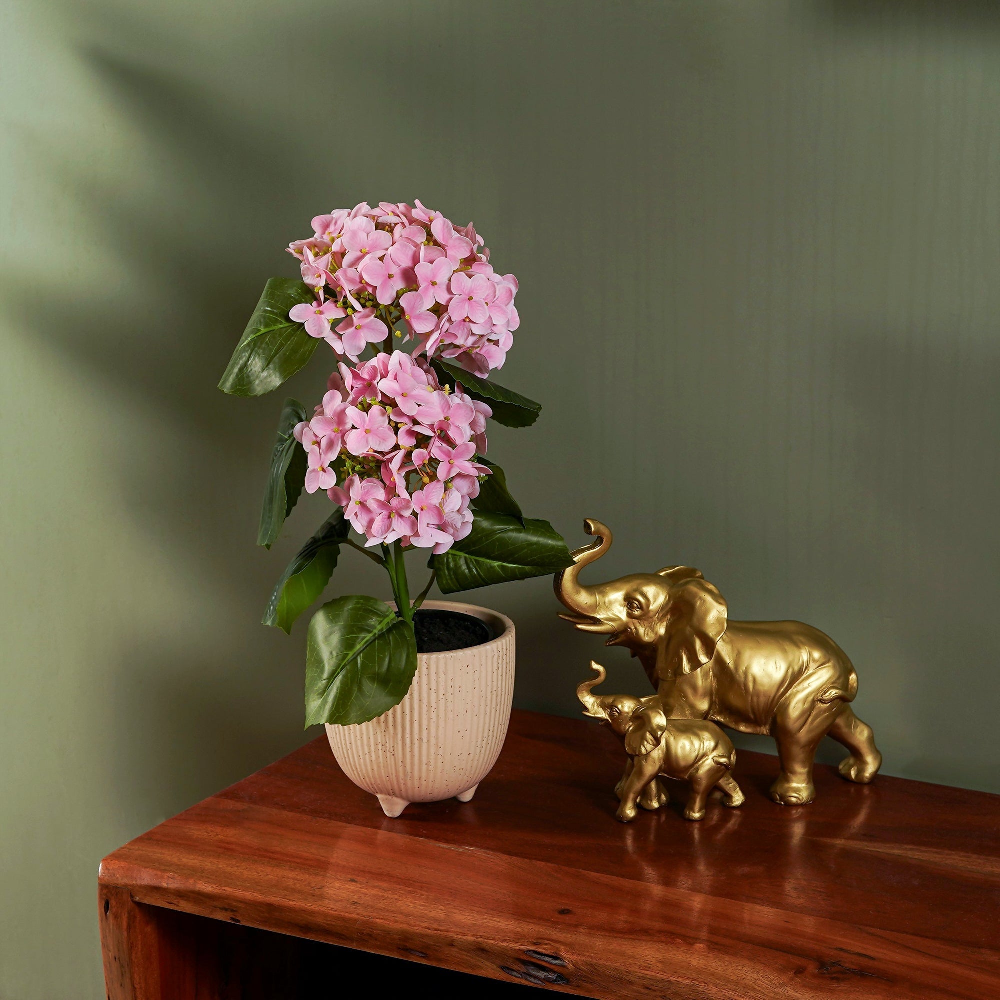 EverBloom Hydrangea Plant - The Artment