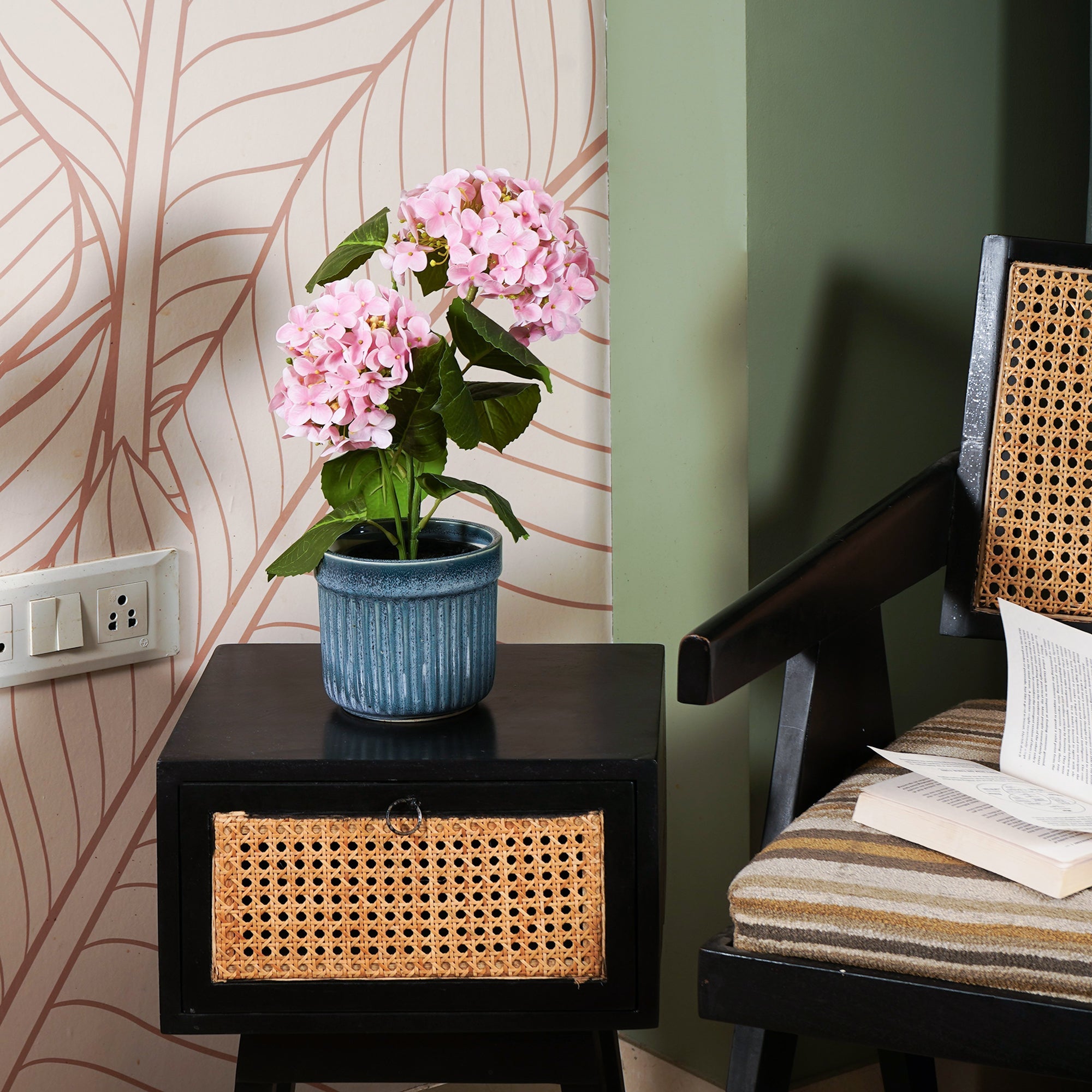 EverBloom Hydrangea Plant - The Artment