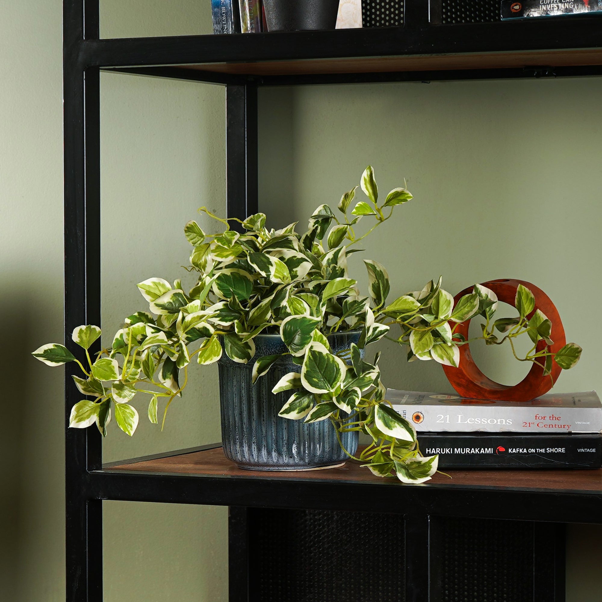 EverPothos plant - The Artment