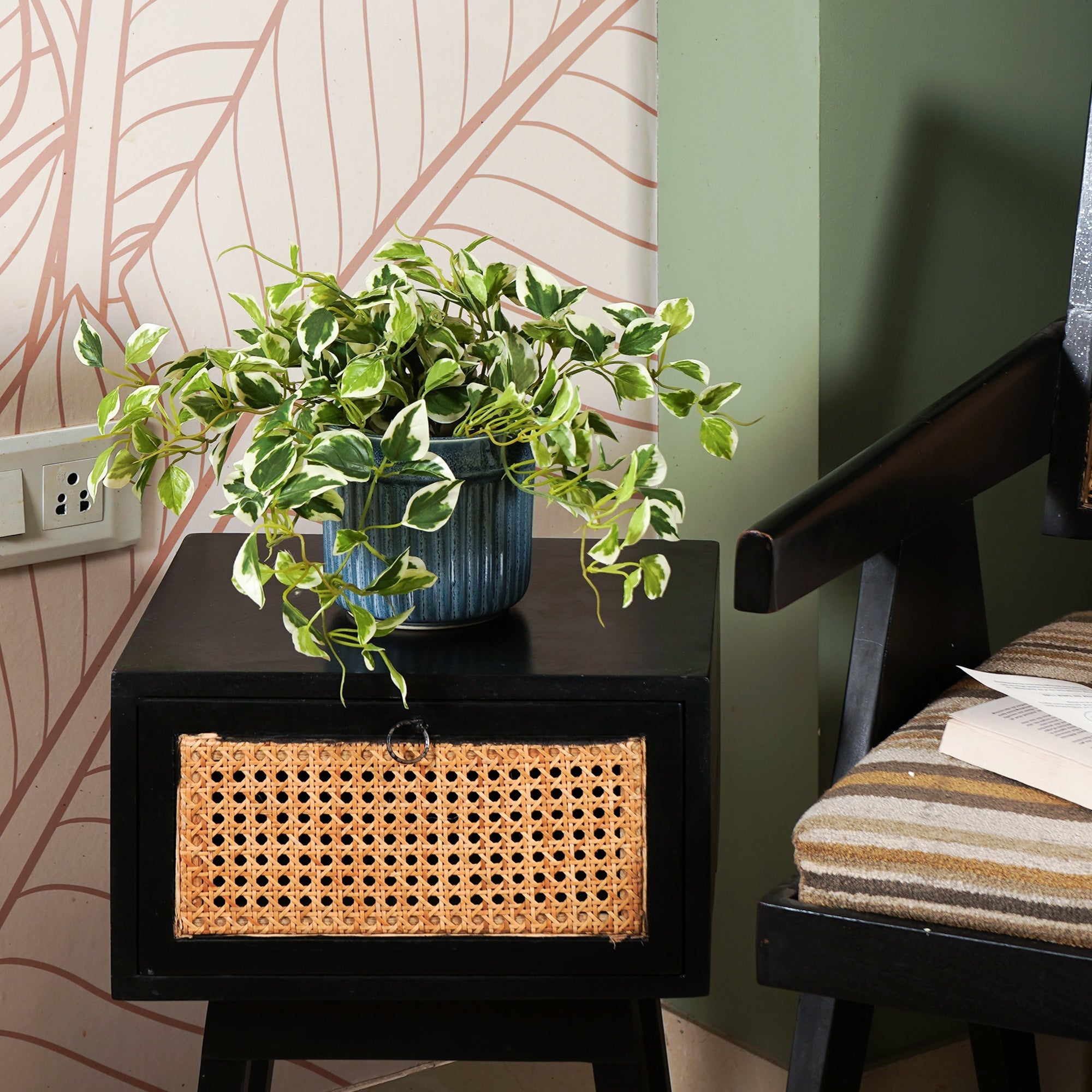 EverPothos plant - The Artment