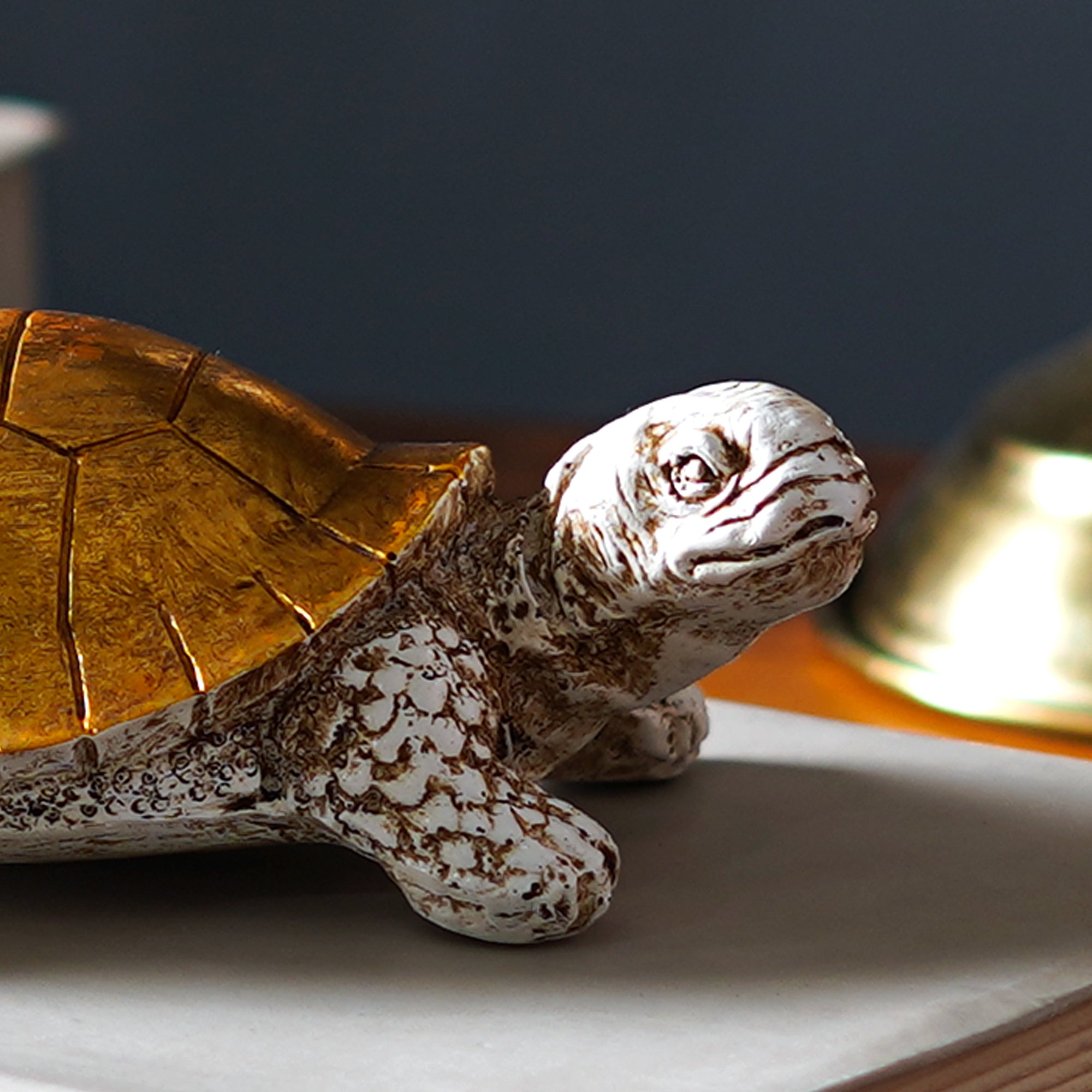 Feng Shui Shell - The Artment