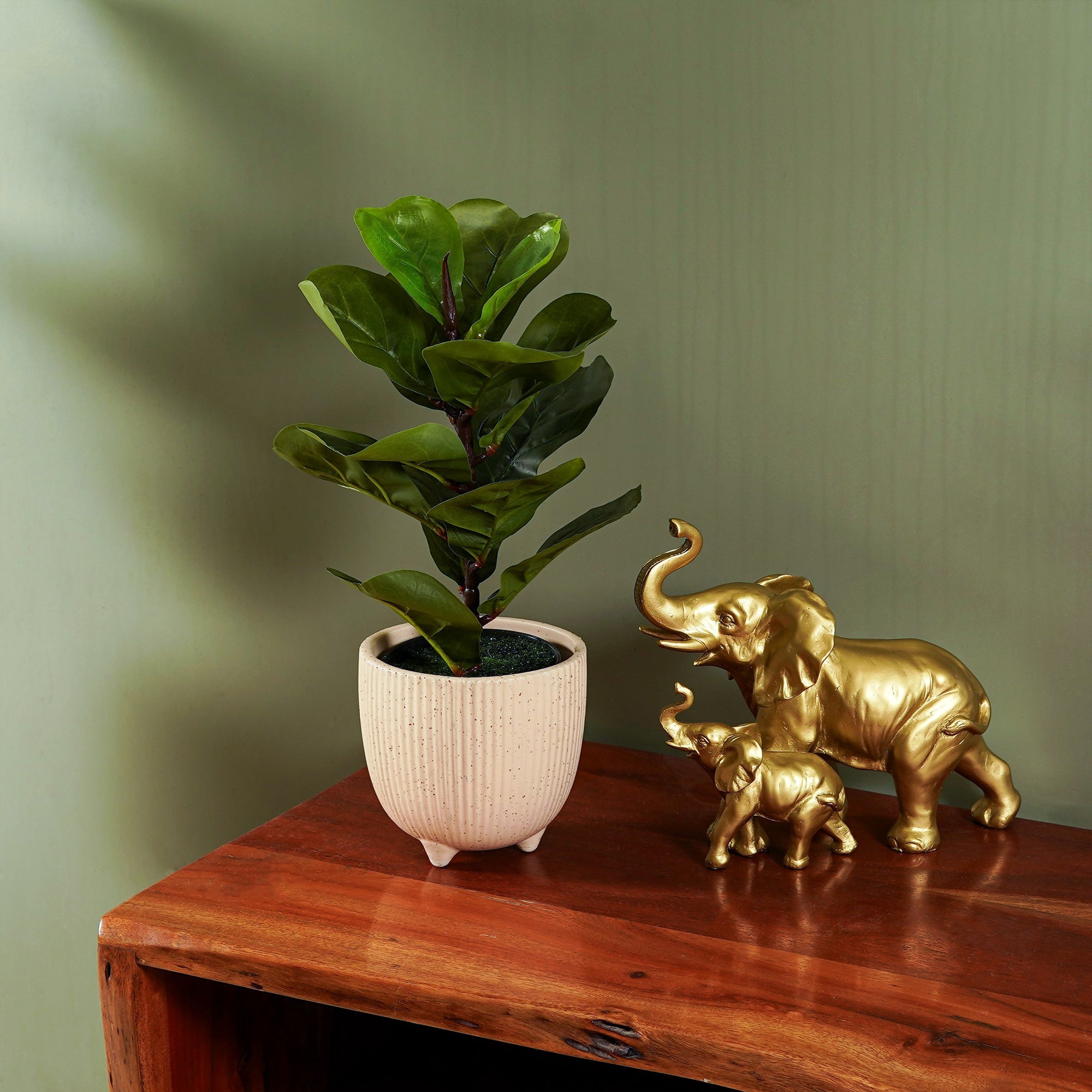 FiddleLeaf - The Artment