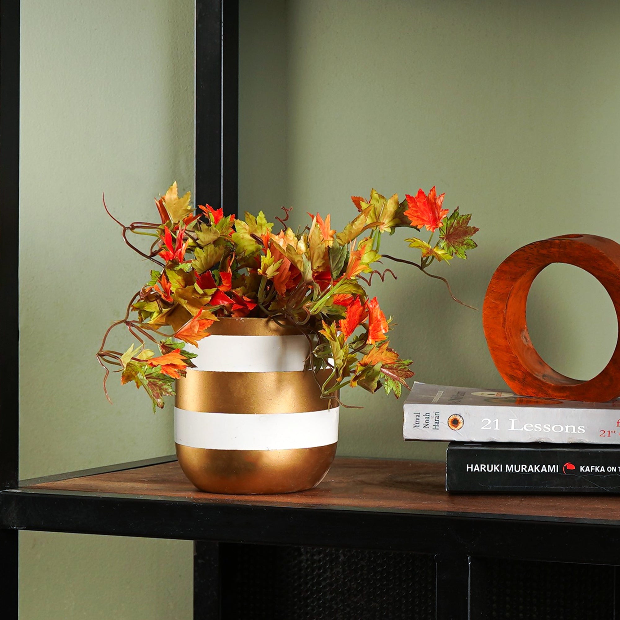 German Maple - The Artment