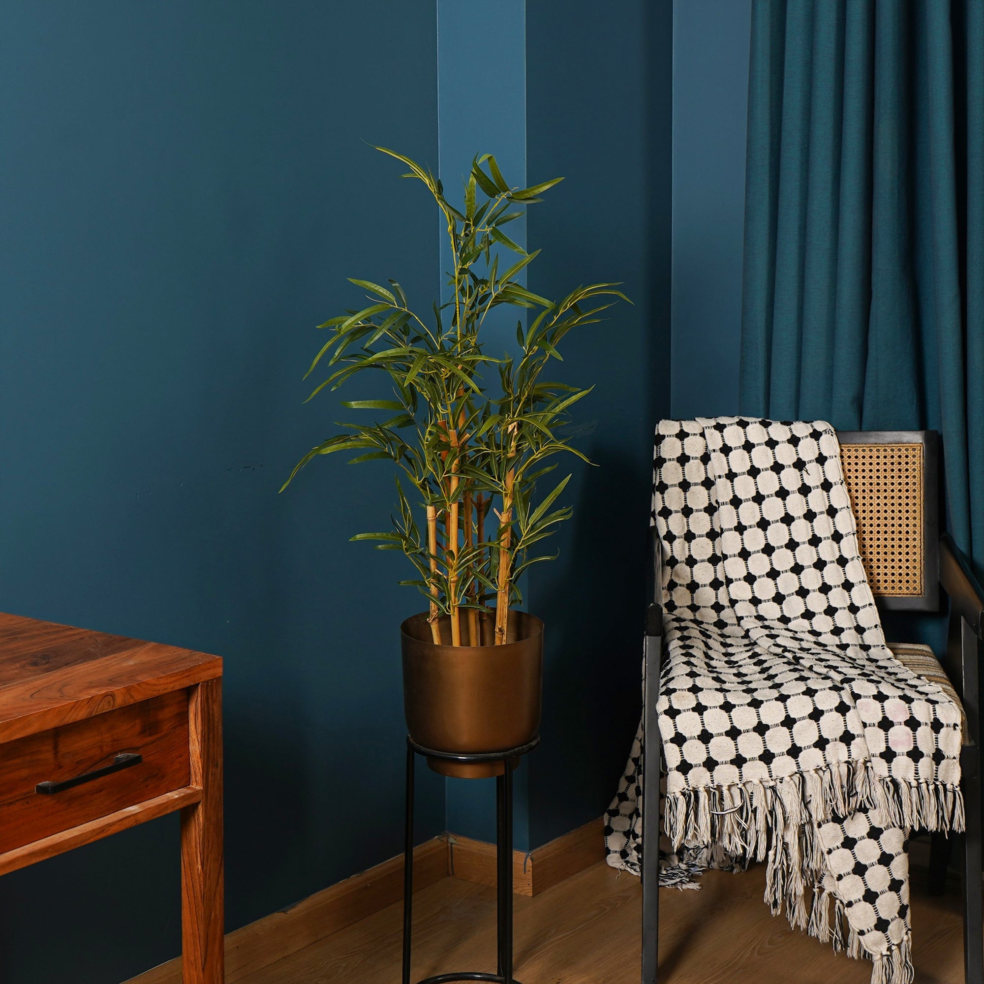 Golden Bamboo Plant - The Artment